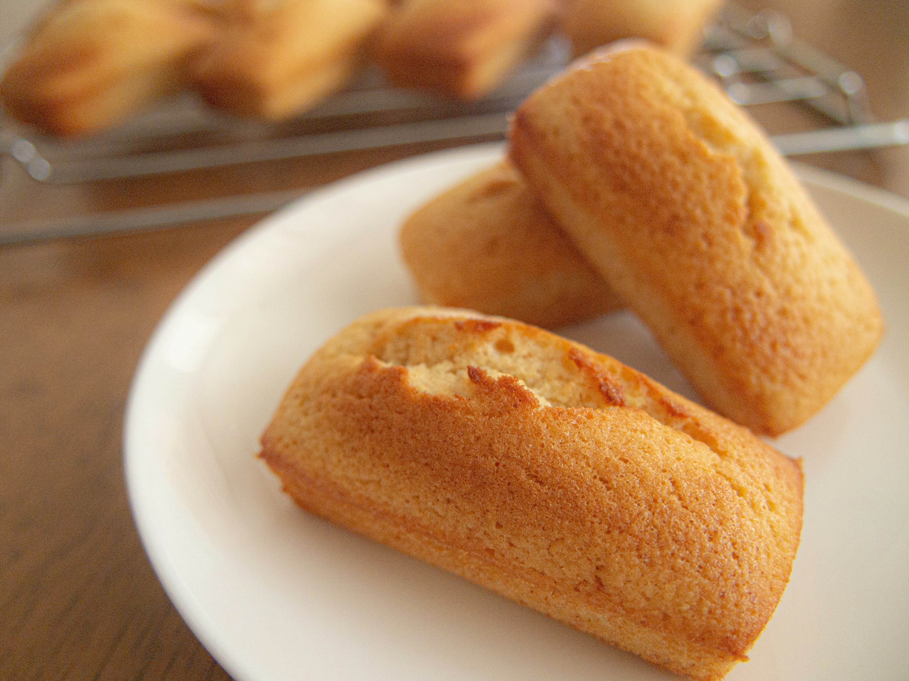 Financier recién horneados en un plato blanco