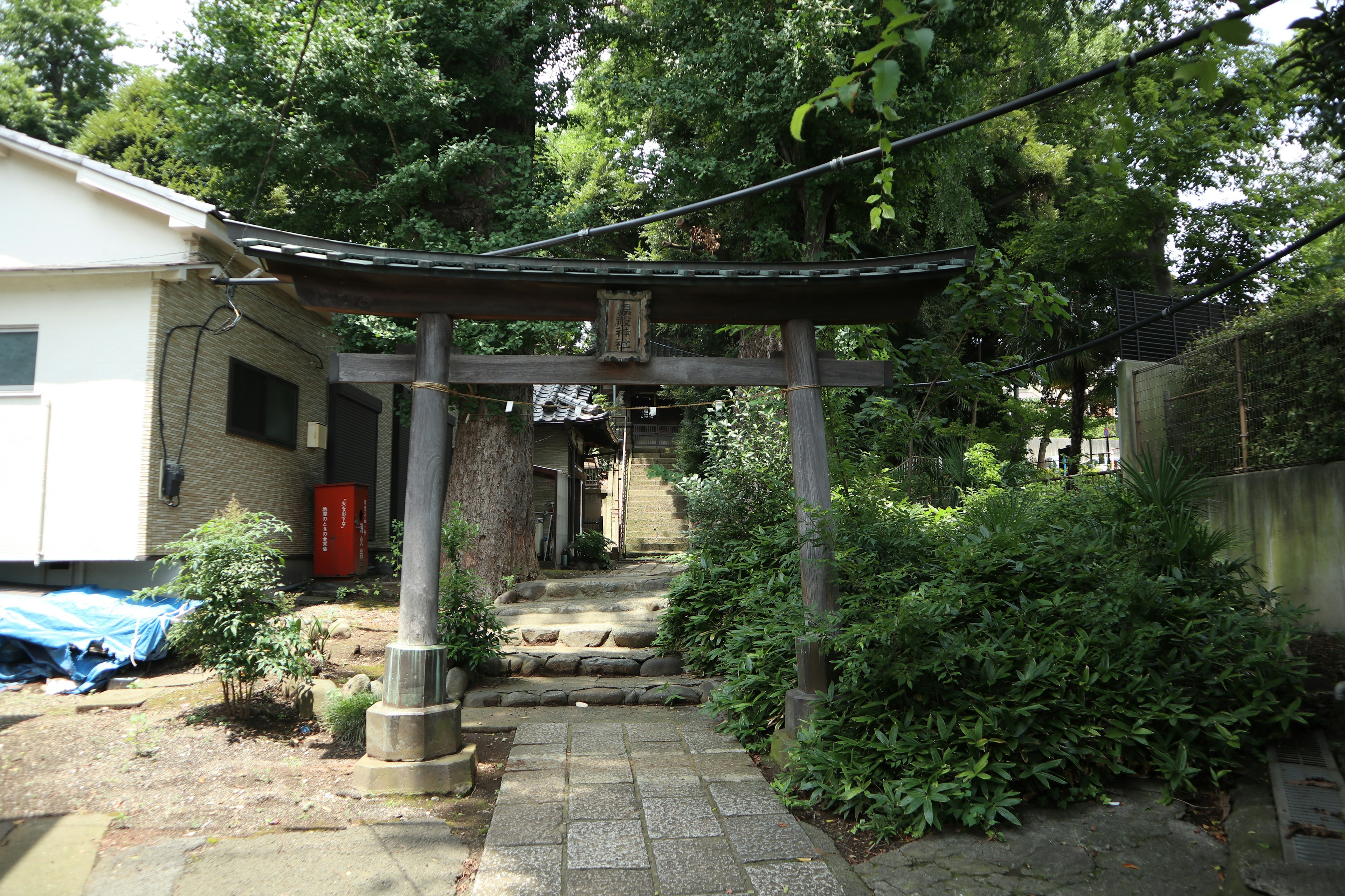 A stone pathway leading to a traditional torii gate surrounded by lush greenery