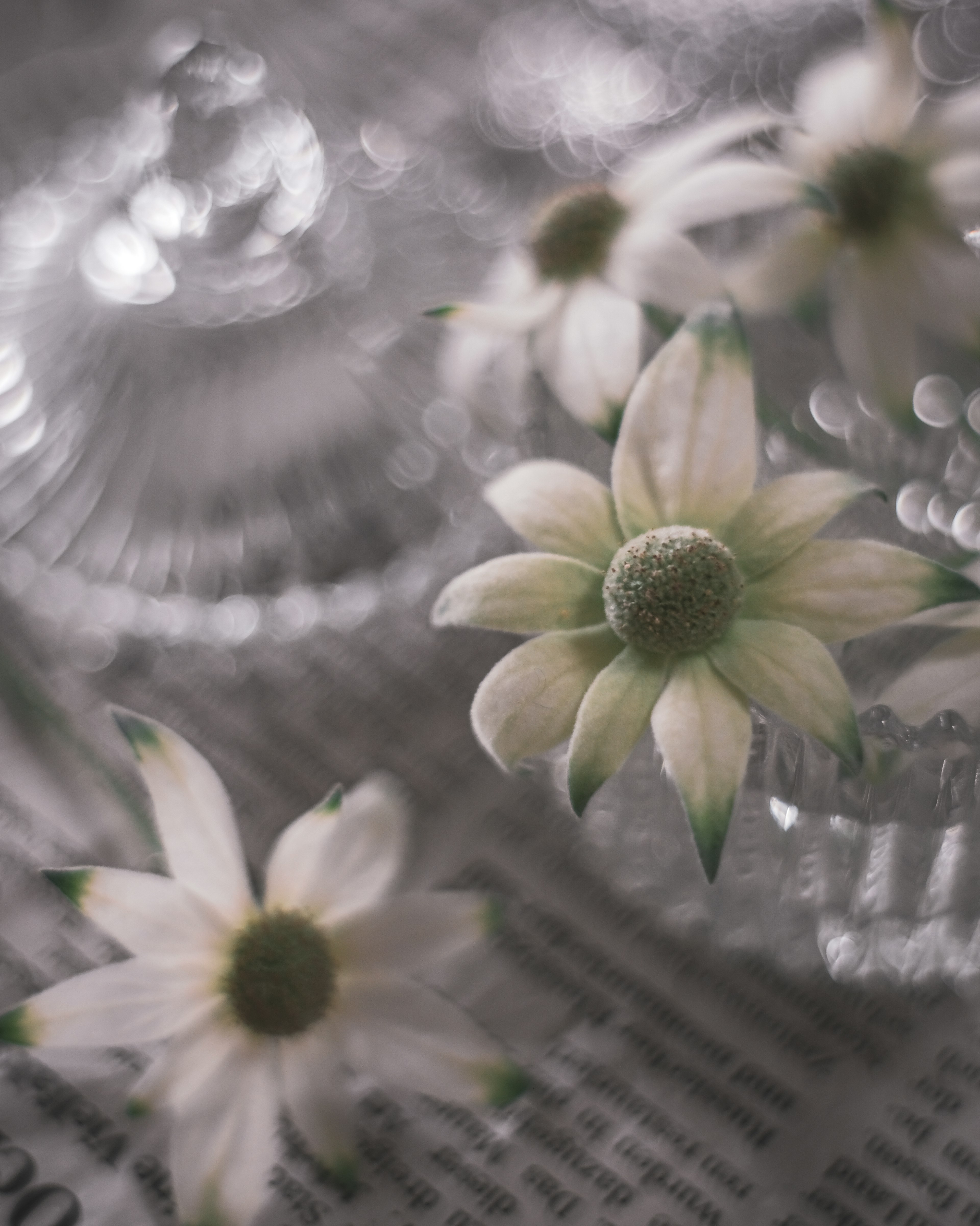 An arrangement of delicate white flowers and glass vases with a soft aesthetic