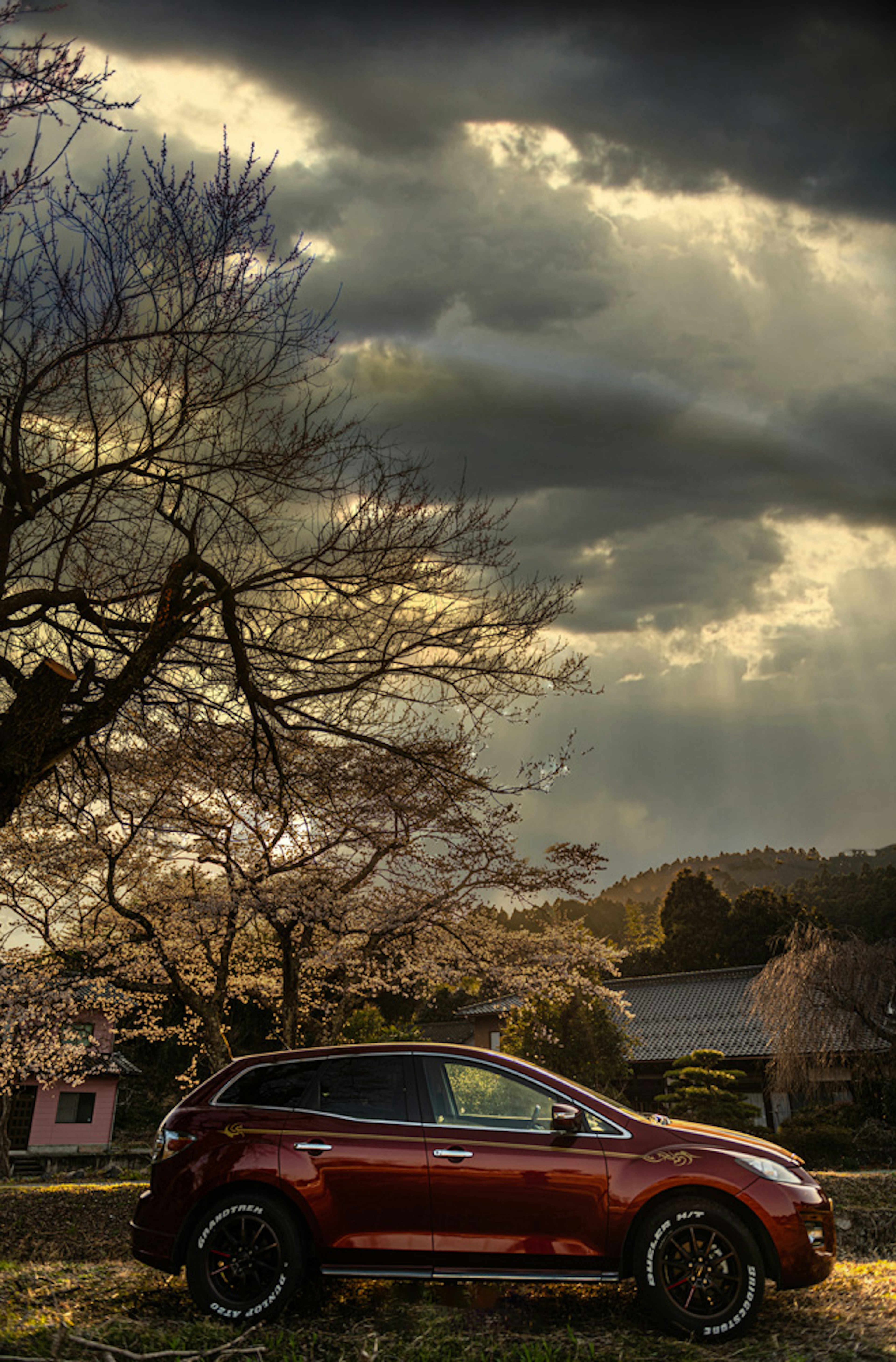 Coche rojo estacionado bajo un árbol de cerezo con nubes oscuras de fondo