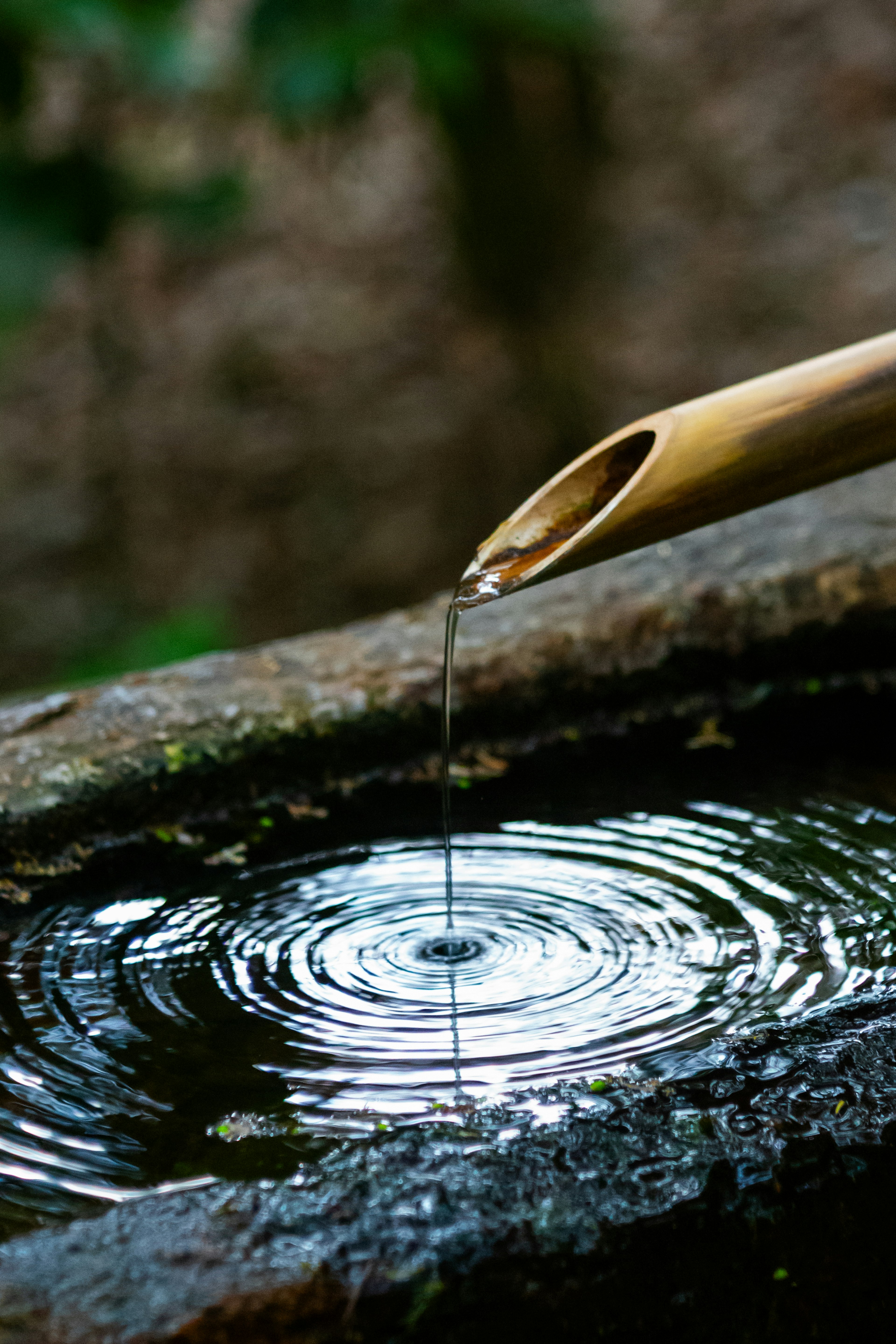 Image d'eau s'écoulant d'un tuyau en bambou créant des ondulations à la surface