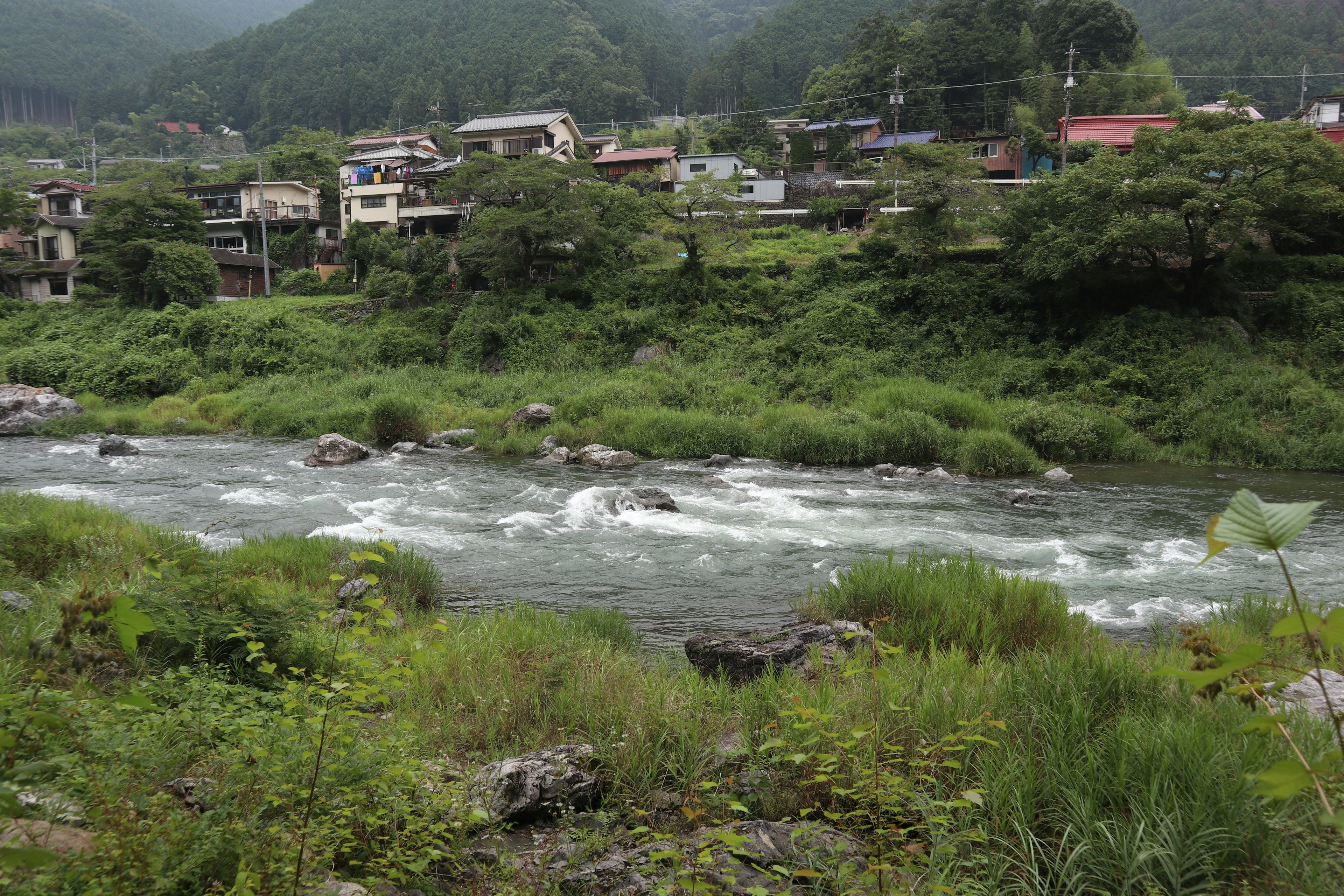 緑の風景に囲まれた川と家々の風景