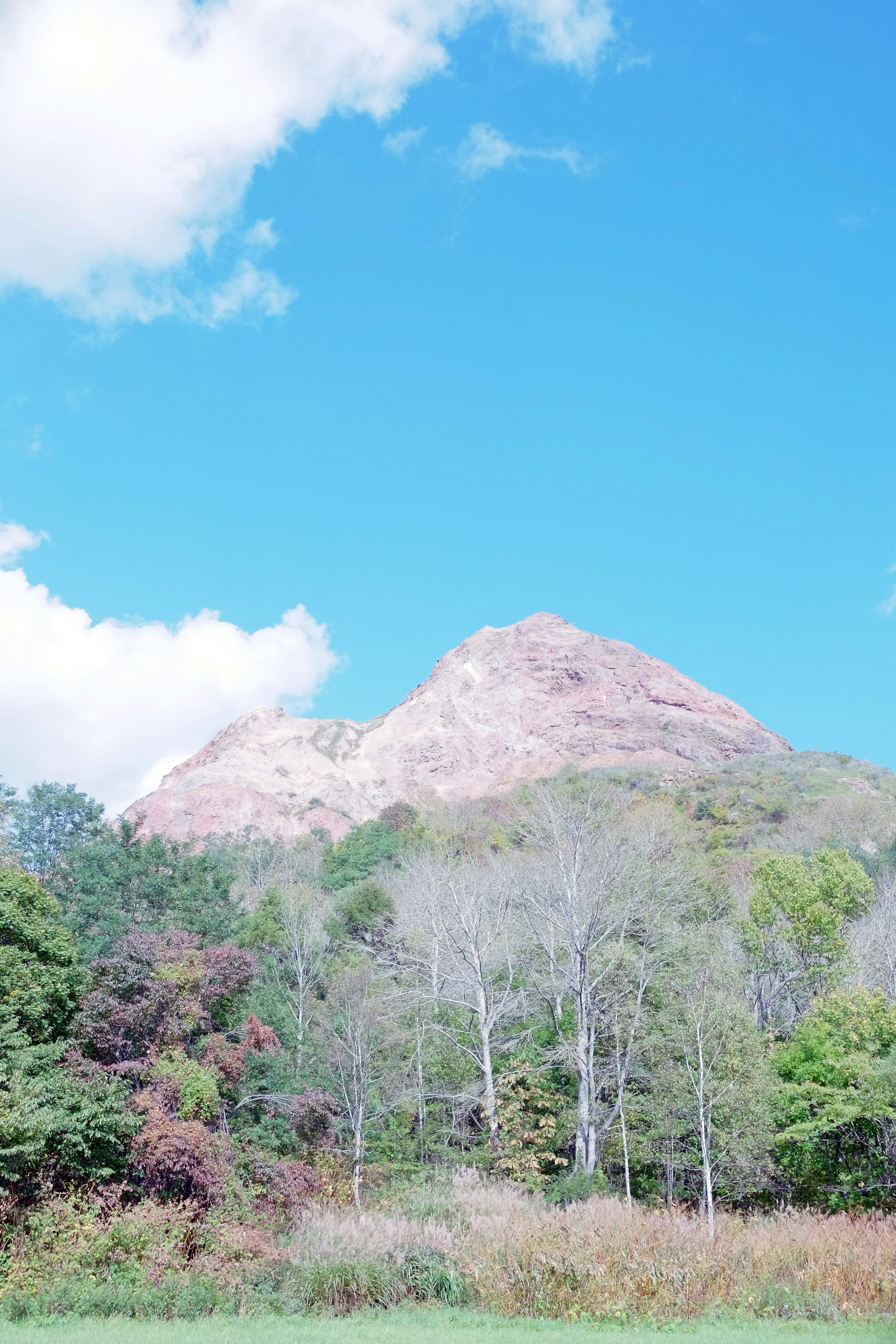 Mountain rising under a blue sky with lush green trees