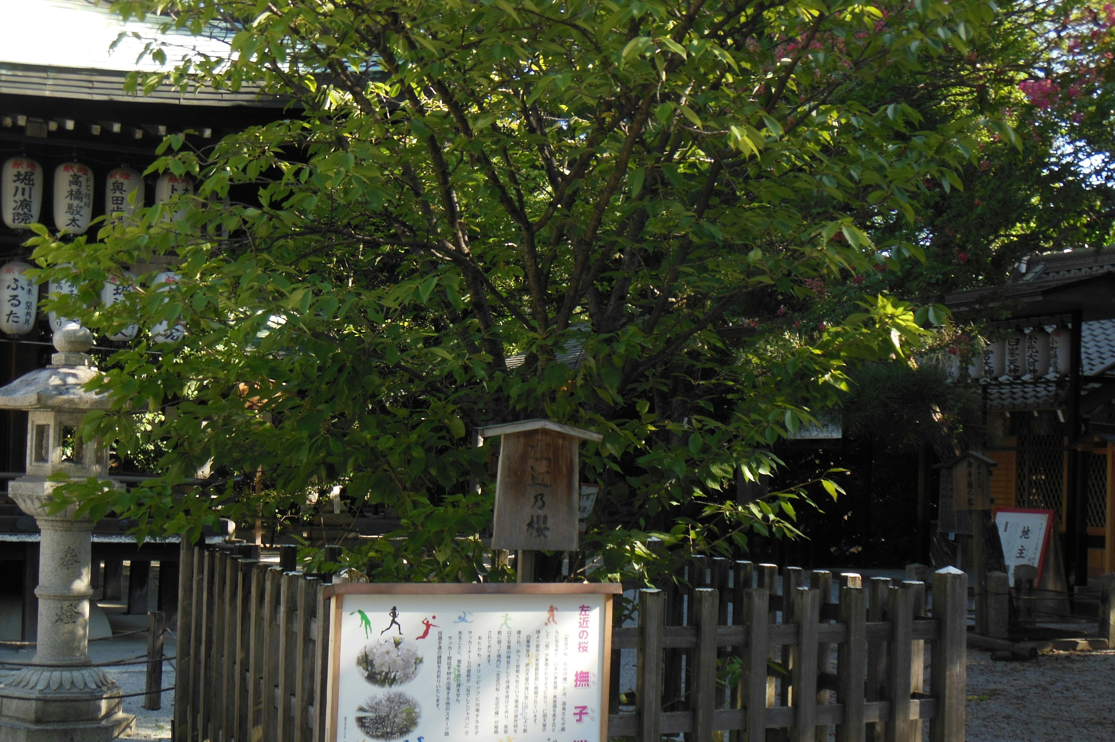 A shrine scene with a green tree and a sign