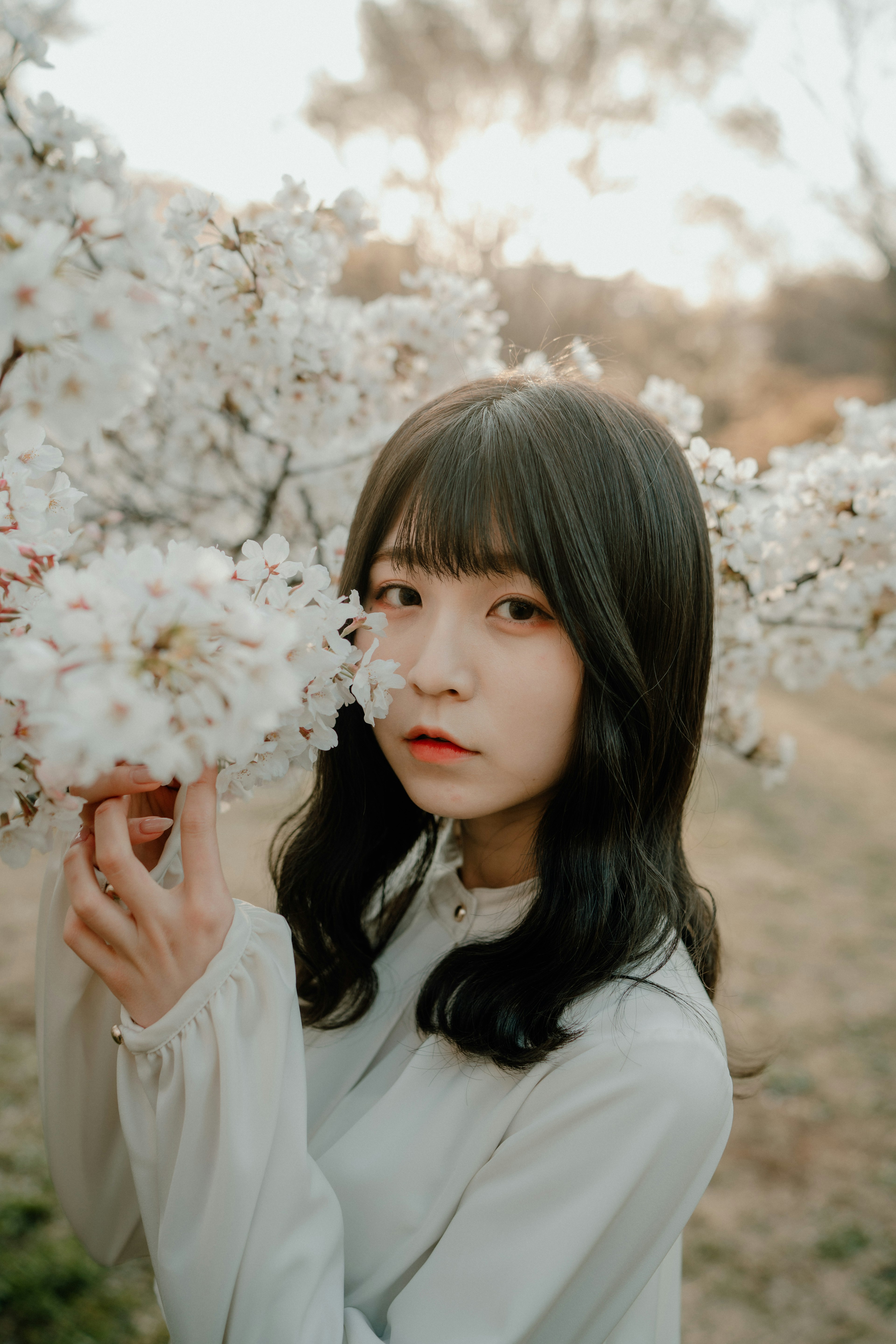 Portrait d'une fille devant des cerisiers en fleurs