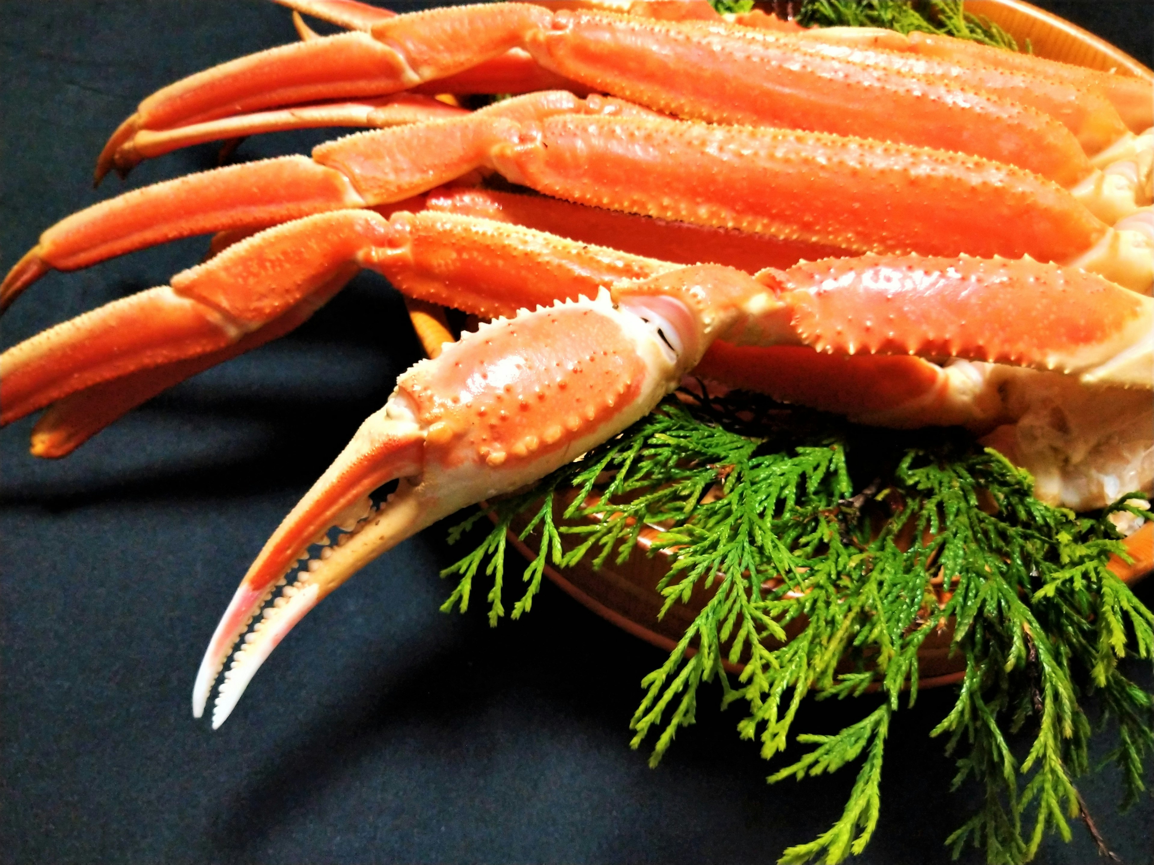 Fresh crab legs displayed with green foliage