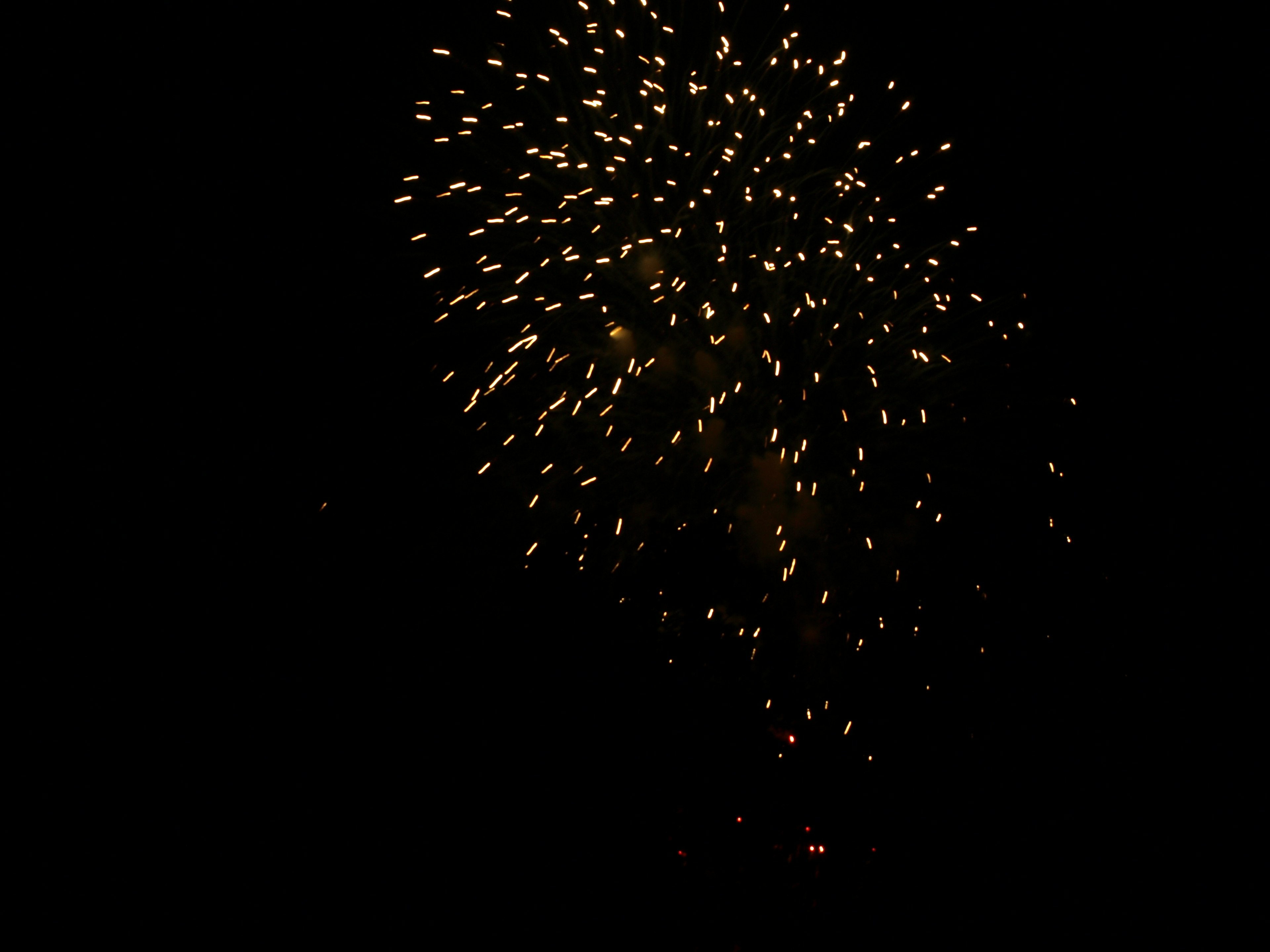 Gold fireworks bursting in the night sky