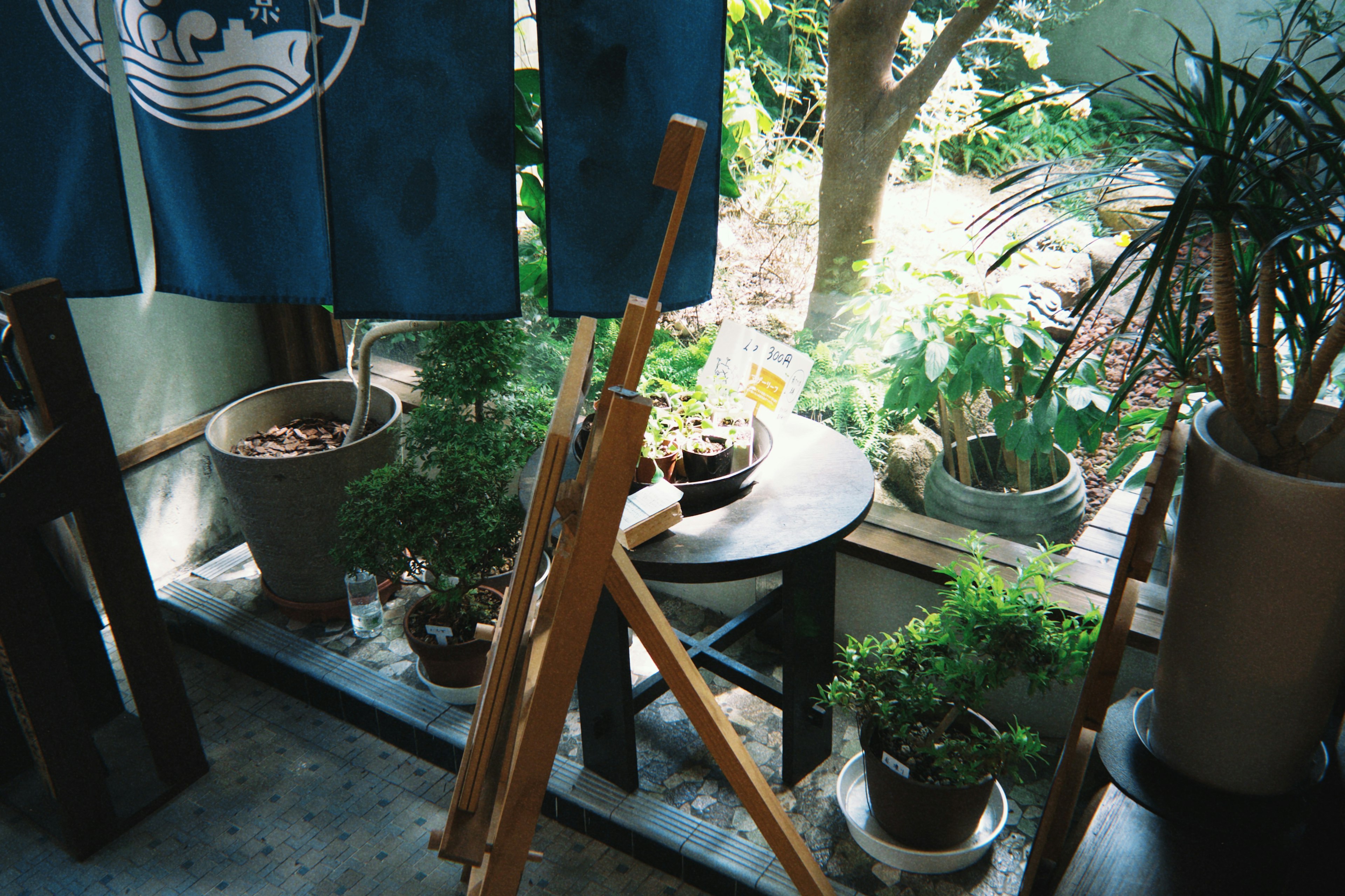 Bright indoor scene featuring a wooden easel and potted plants