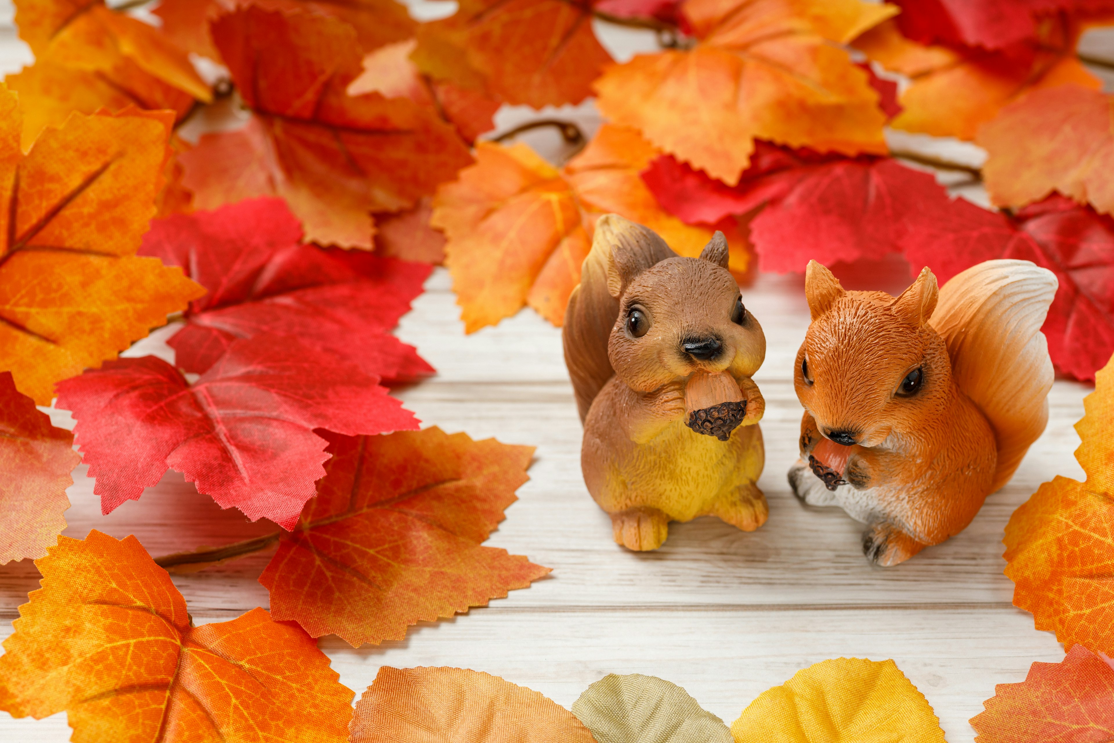 Two squirrel figurines surrounded by autumn leaves