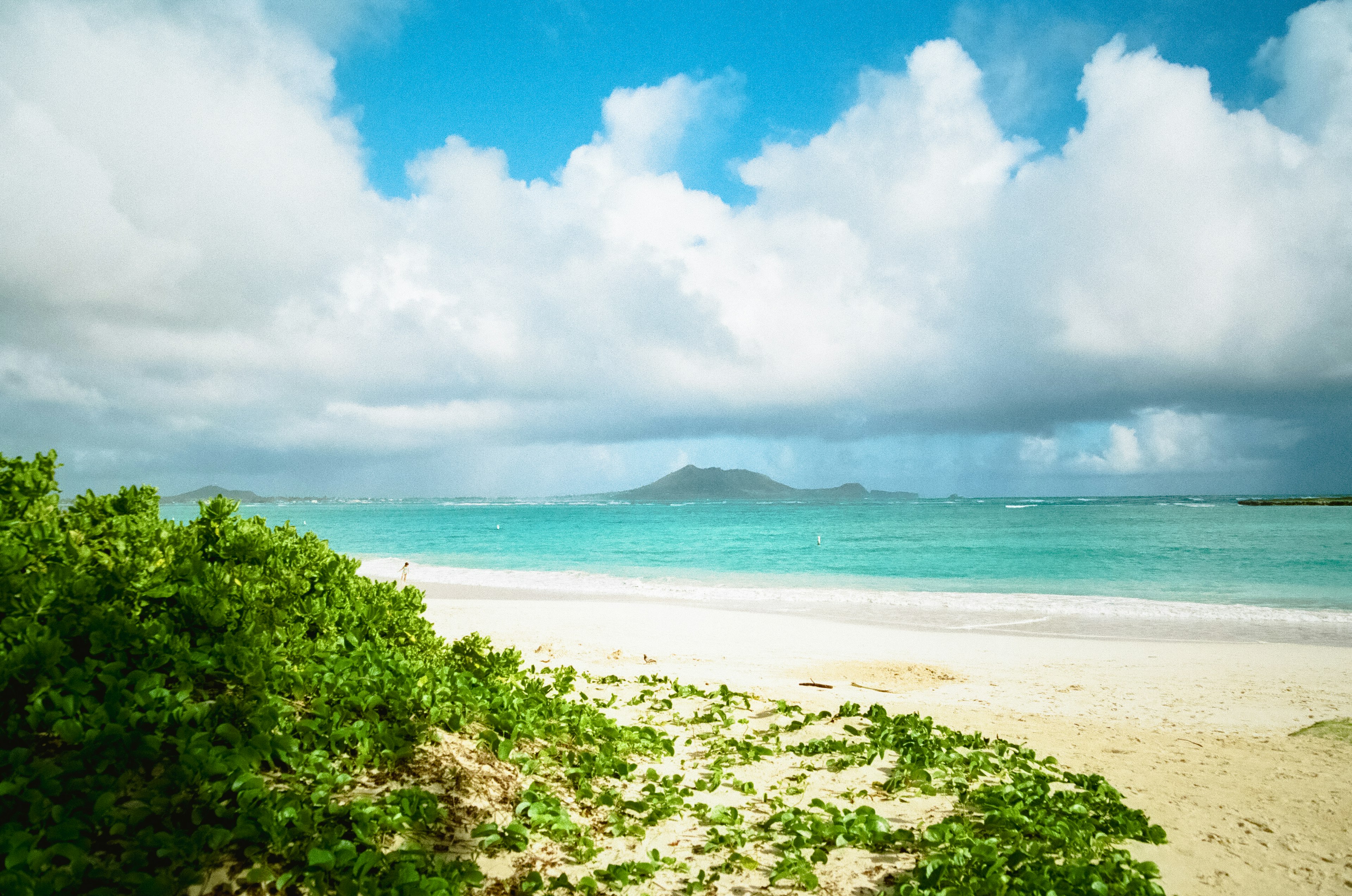 ทิวทัศน์ชายหาดที่สวยงามพร้อมมหาสมุทรสีน้ำเงินและทรายขาวพืชสีเขียวและท้องฟ้าที่มีเมฆ