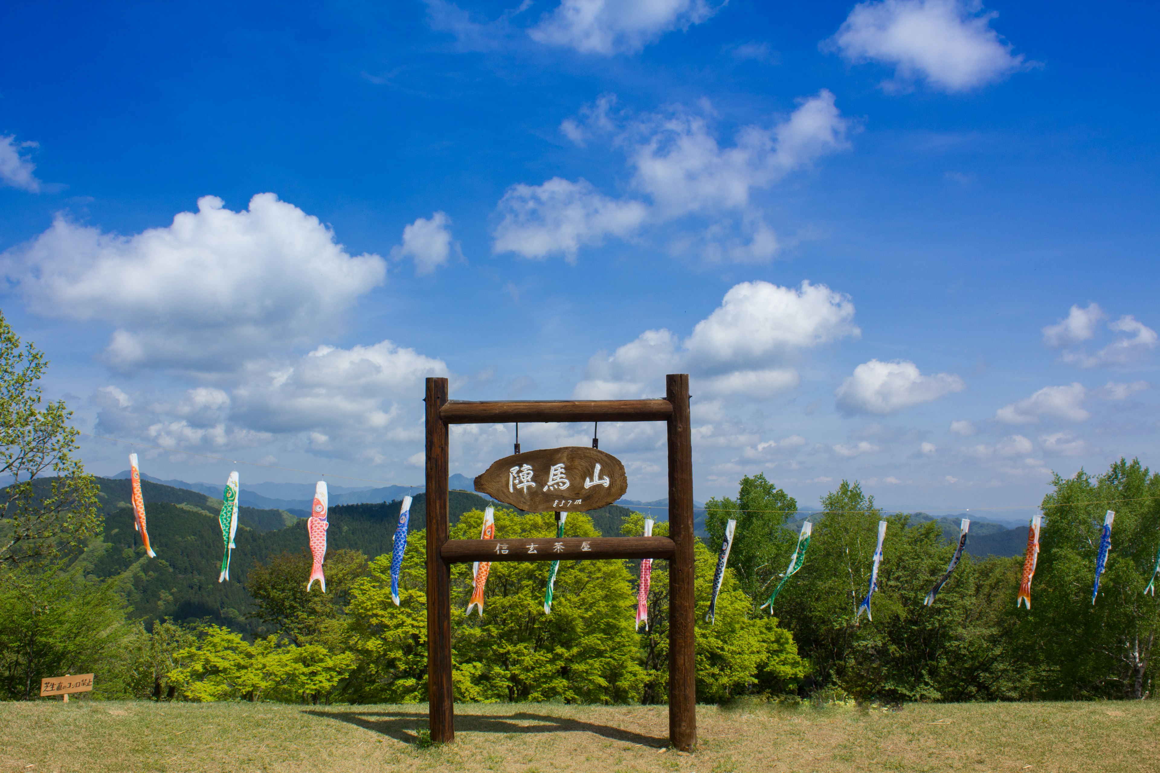 Wooden sign with colorful koi flags under a blue sky