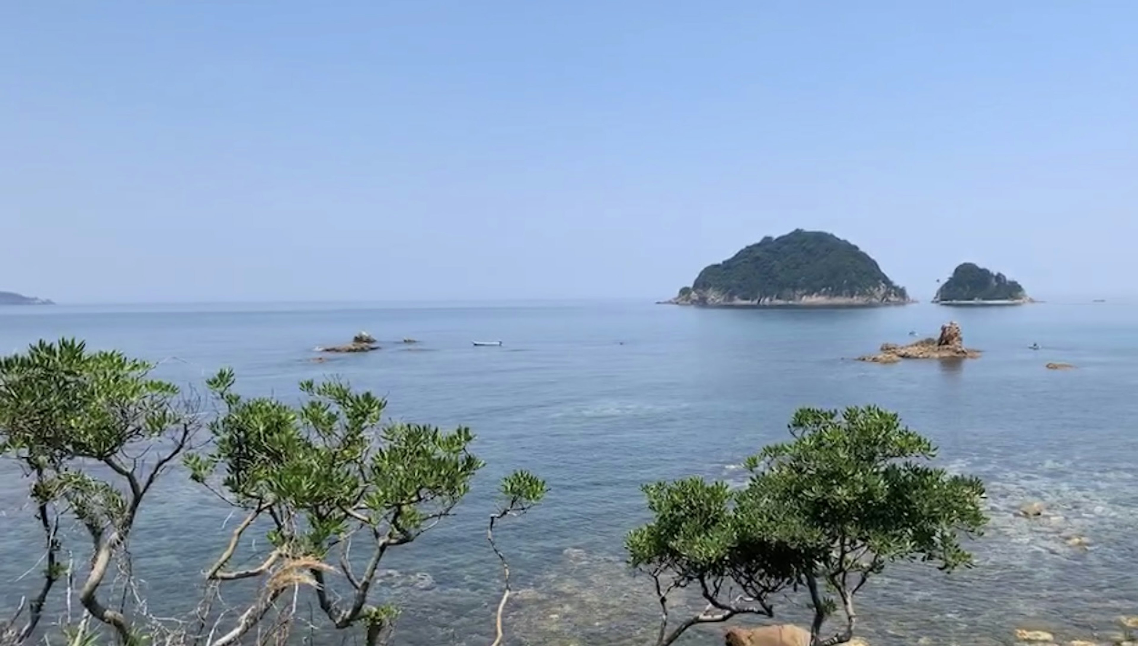 Vue pittoresque de la mer calme avec de petites îles sous un ciel bleu arbres verts luxuriants au premier plan