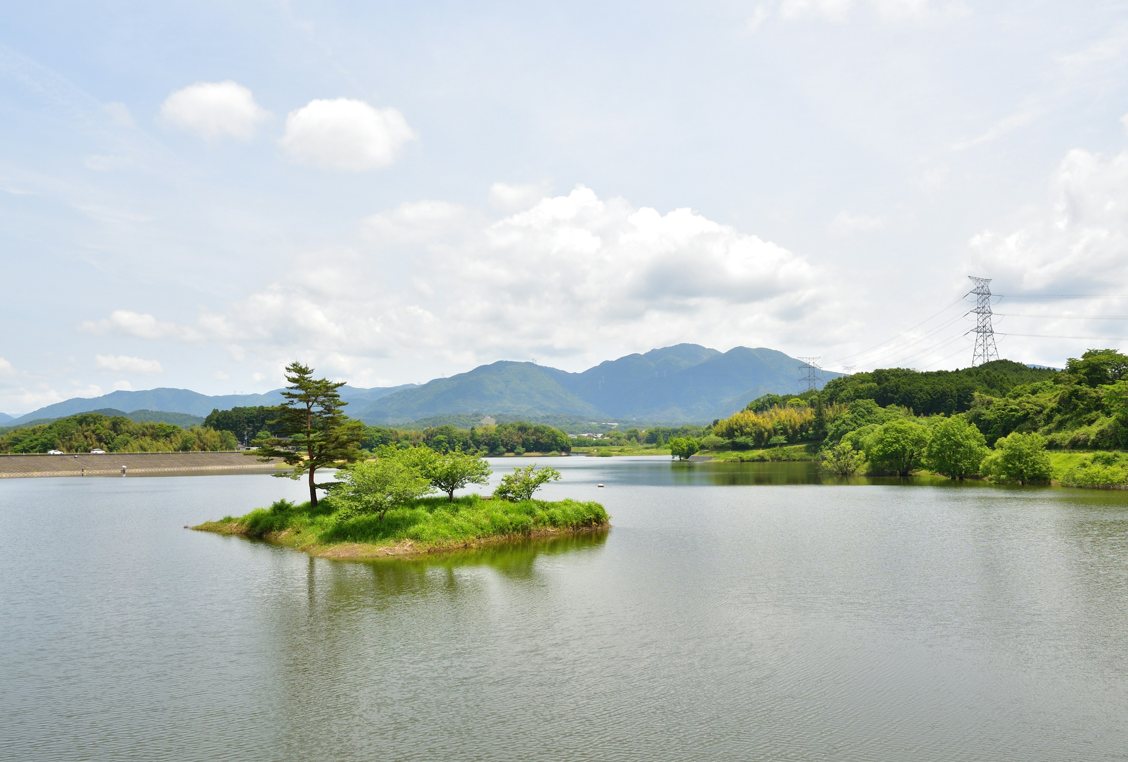 Île verte avec des arbres dans un lac entouré de montagnes