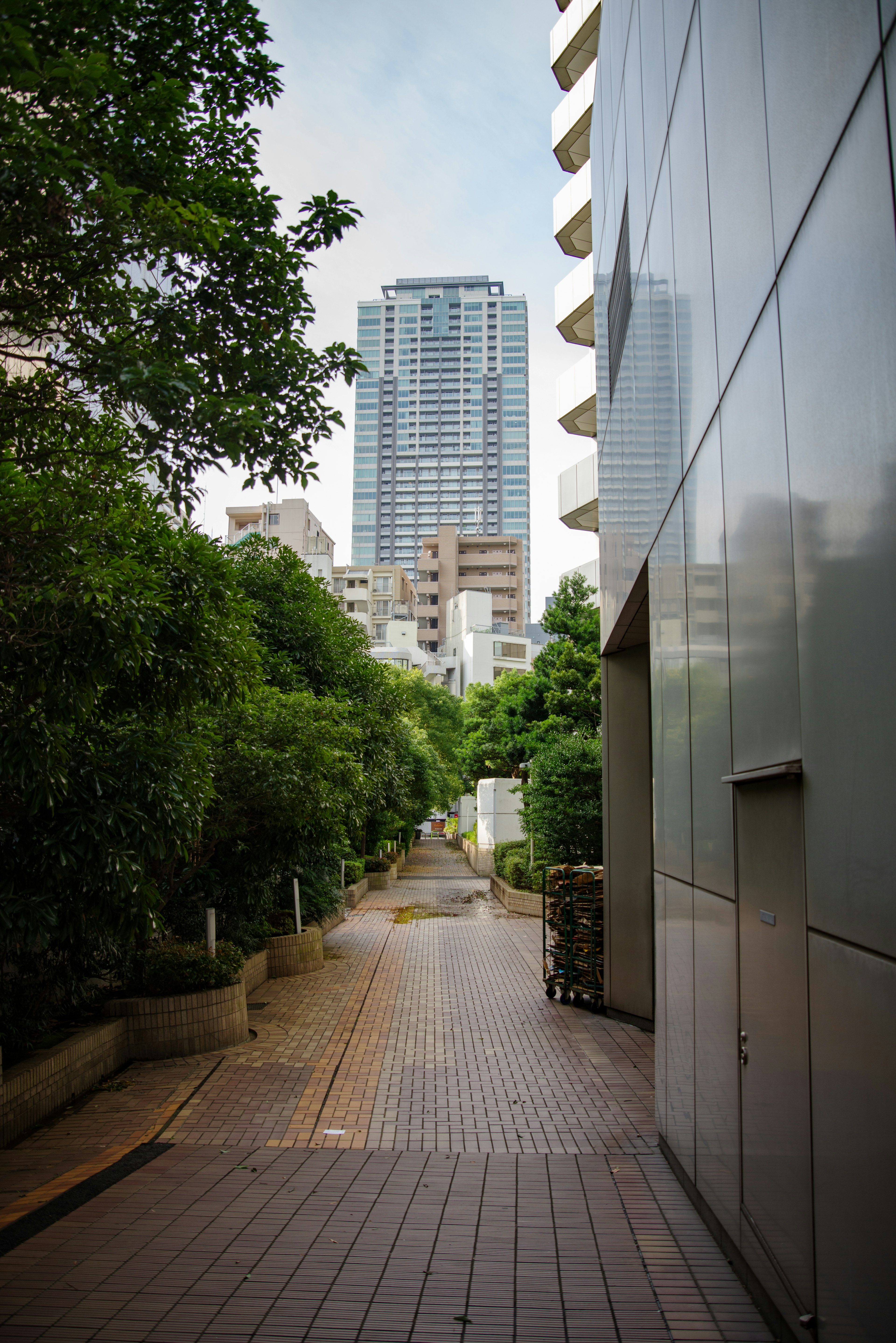 A paved path surrounded by green trees leading to a tall building in the background