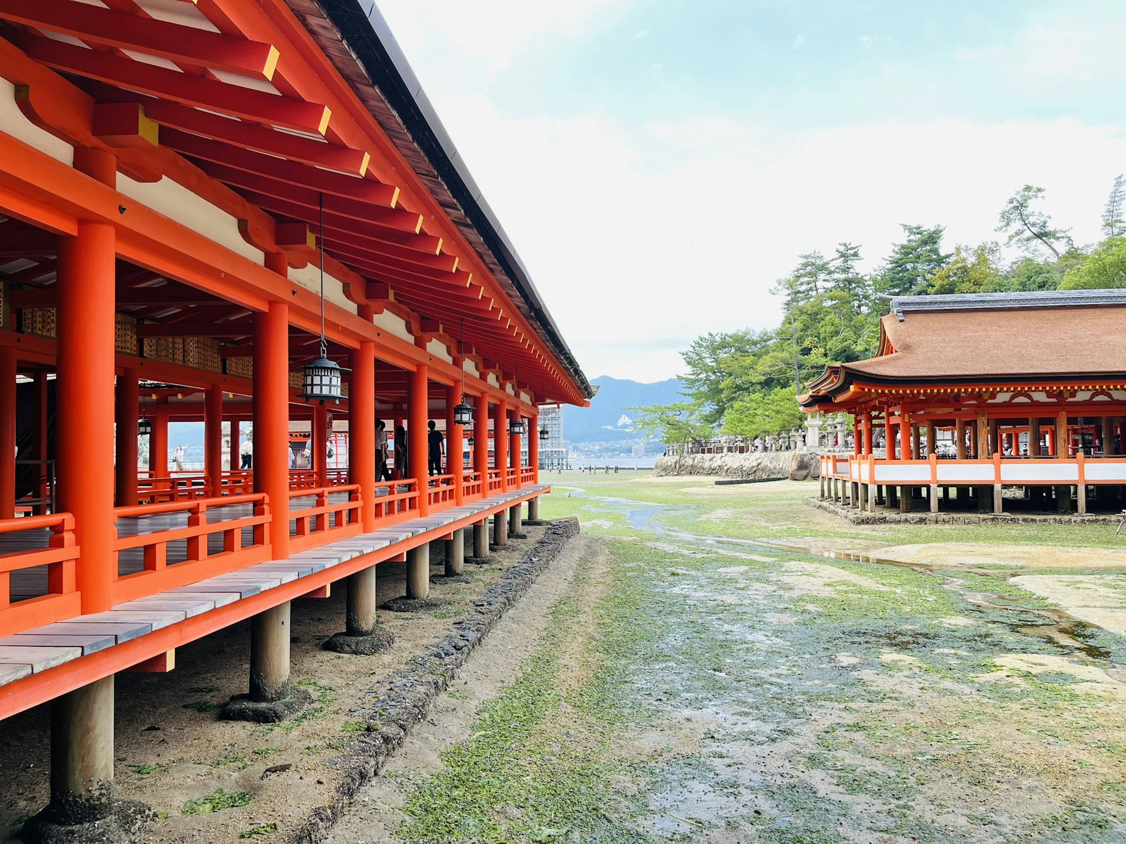 赤い柱の伝統的な日本の建物と青空の風景