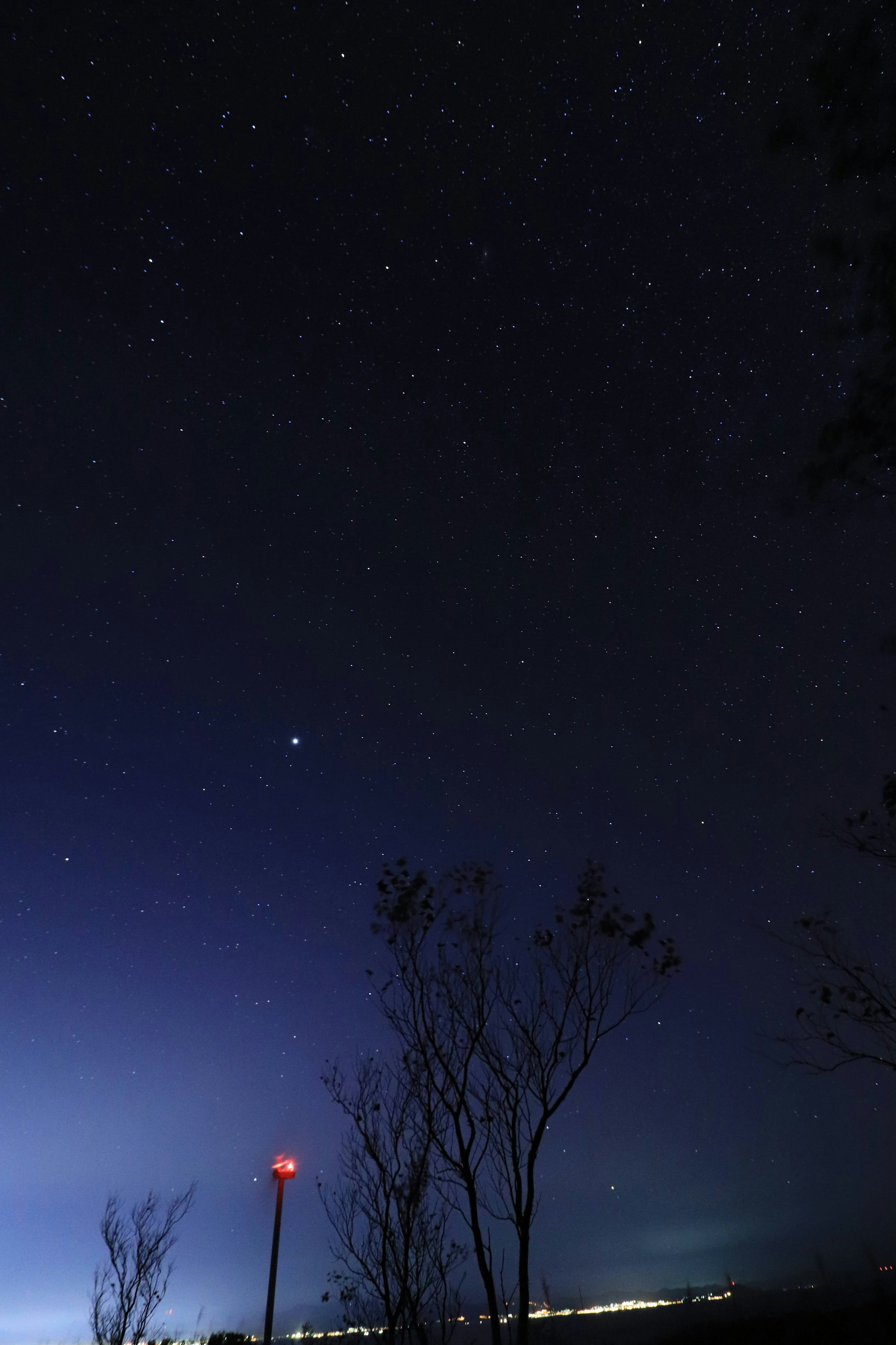 Ciel nocturne étoilé avec silhouettes d'arbres et lumières de la ville au loin