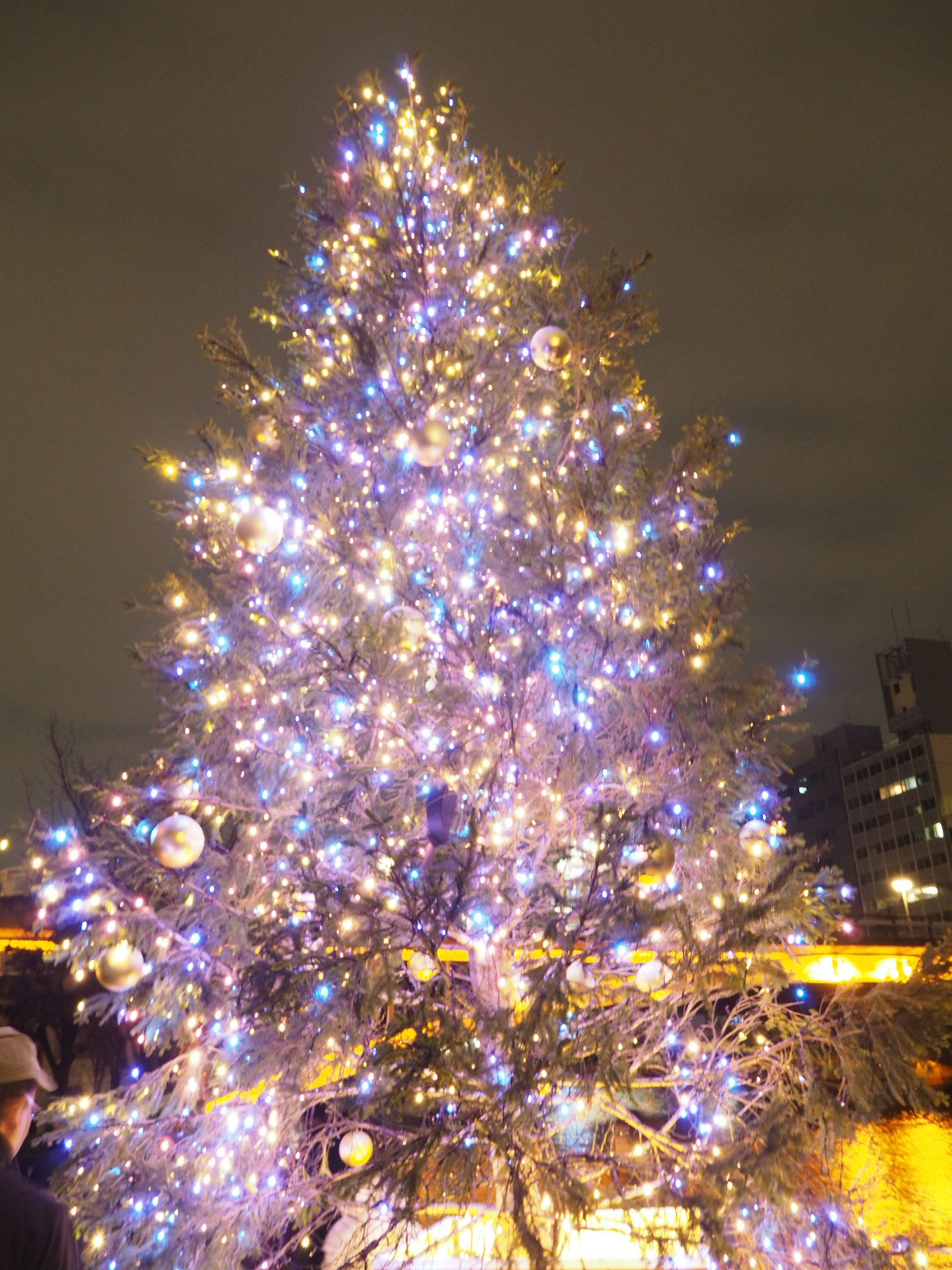 Pohon Natal yang indah dihiasi dengan lampu berwarna-warni