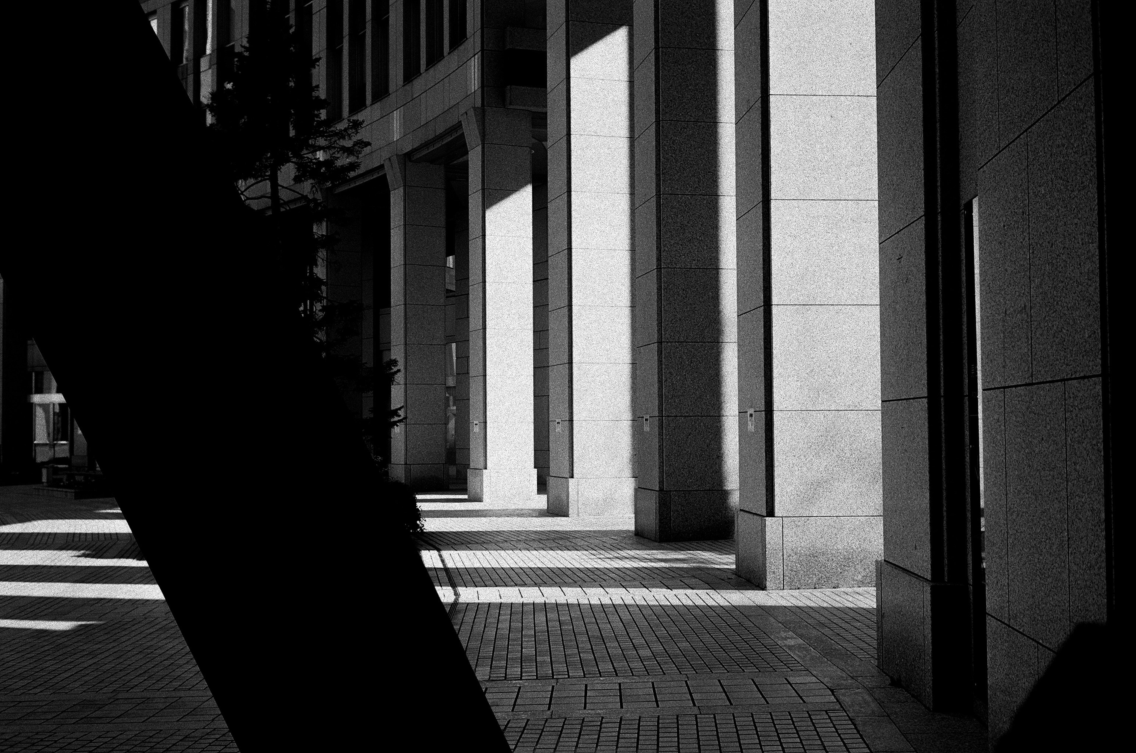 Scène urbaine en noir et blanc mettant en valeur les contrastes d'ombre et de lumière sur les murs des bâtiments