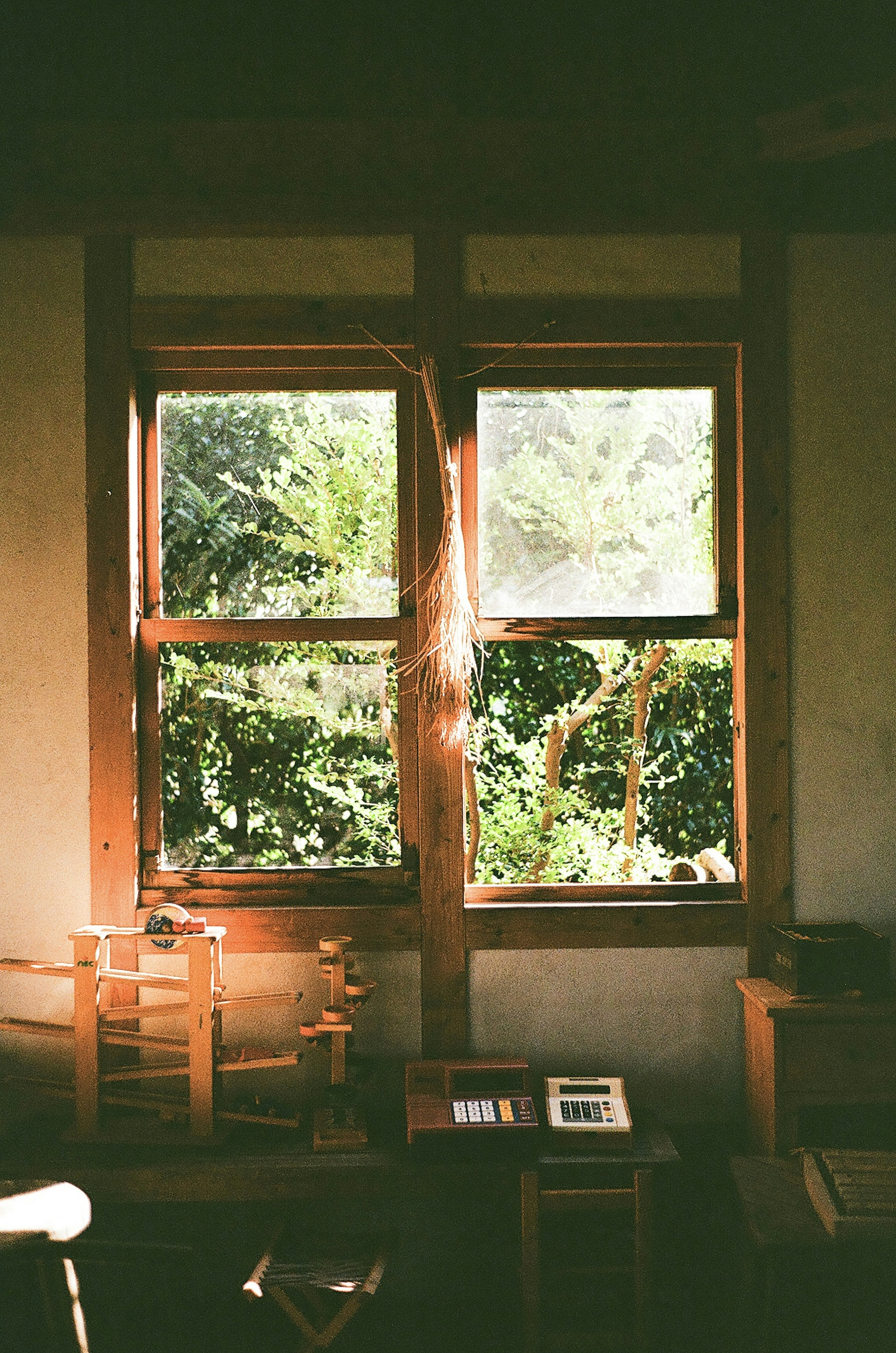 Vue intérieure avec des fenêtres en bois montrant une verdure luxuriante à l'extérieur