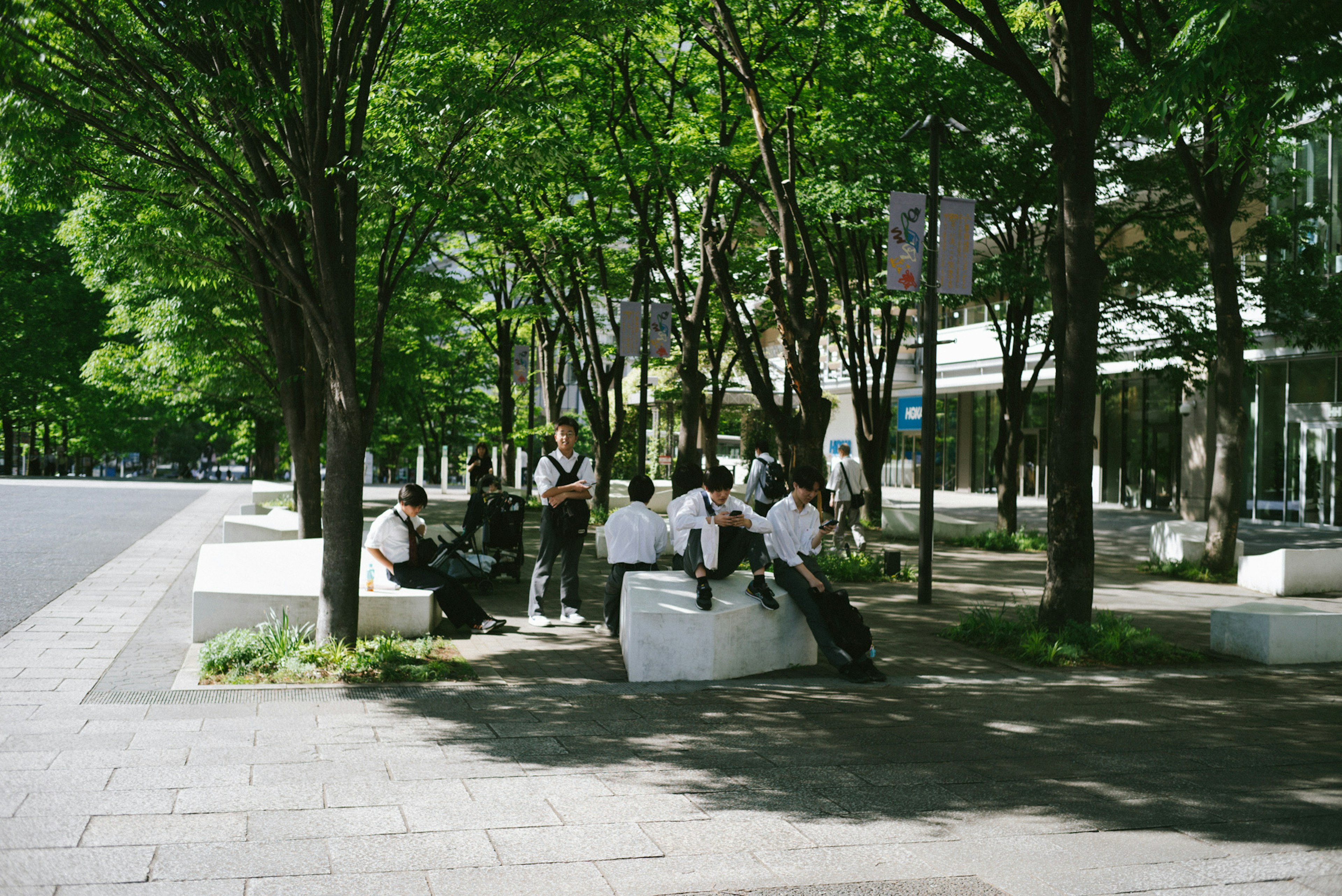 緑豊かな木々の下で座っている学生たち