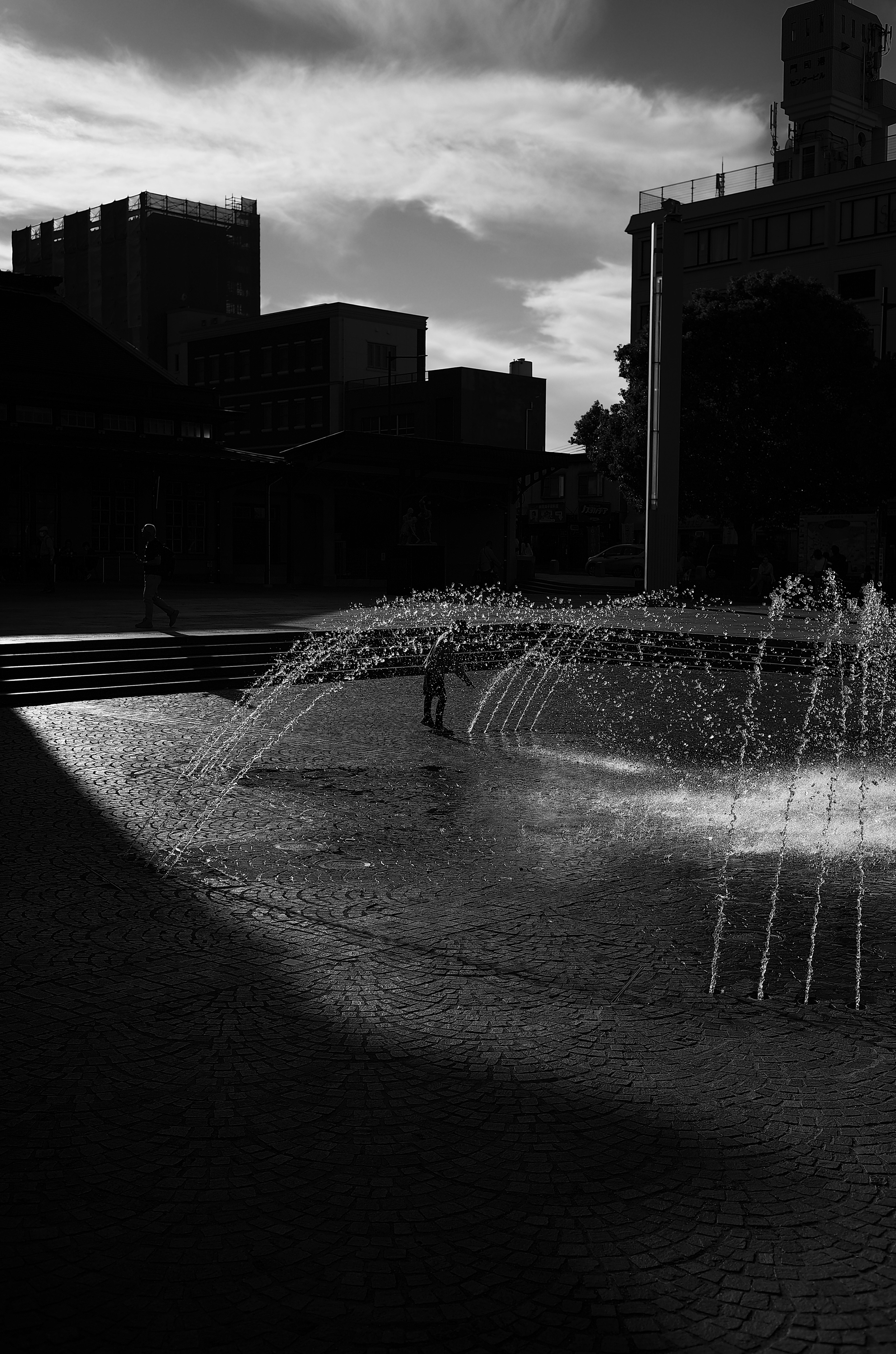 Fuente en blanco y negro con edificios contrastantes de fondo