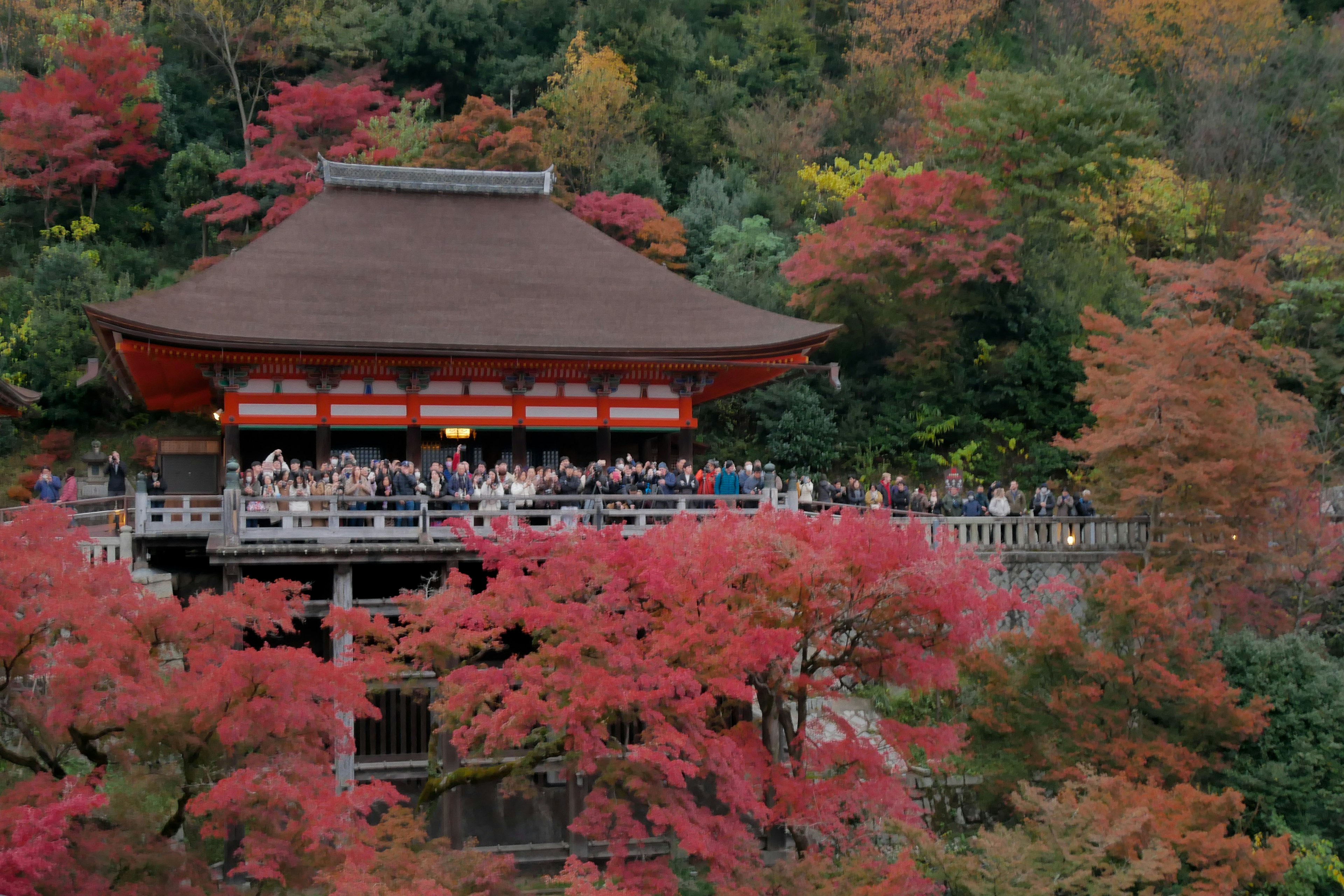 Sân của đền Kiyomizu bao quanh bởi lá mùa thu và khách du lịch