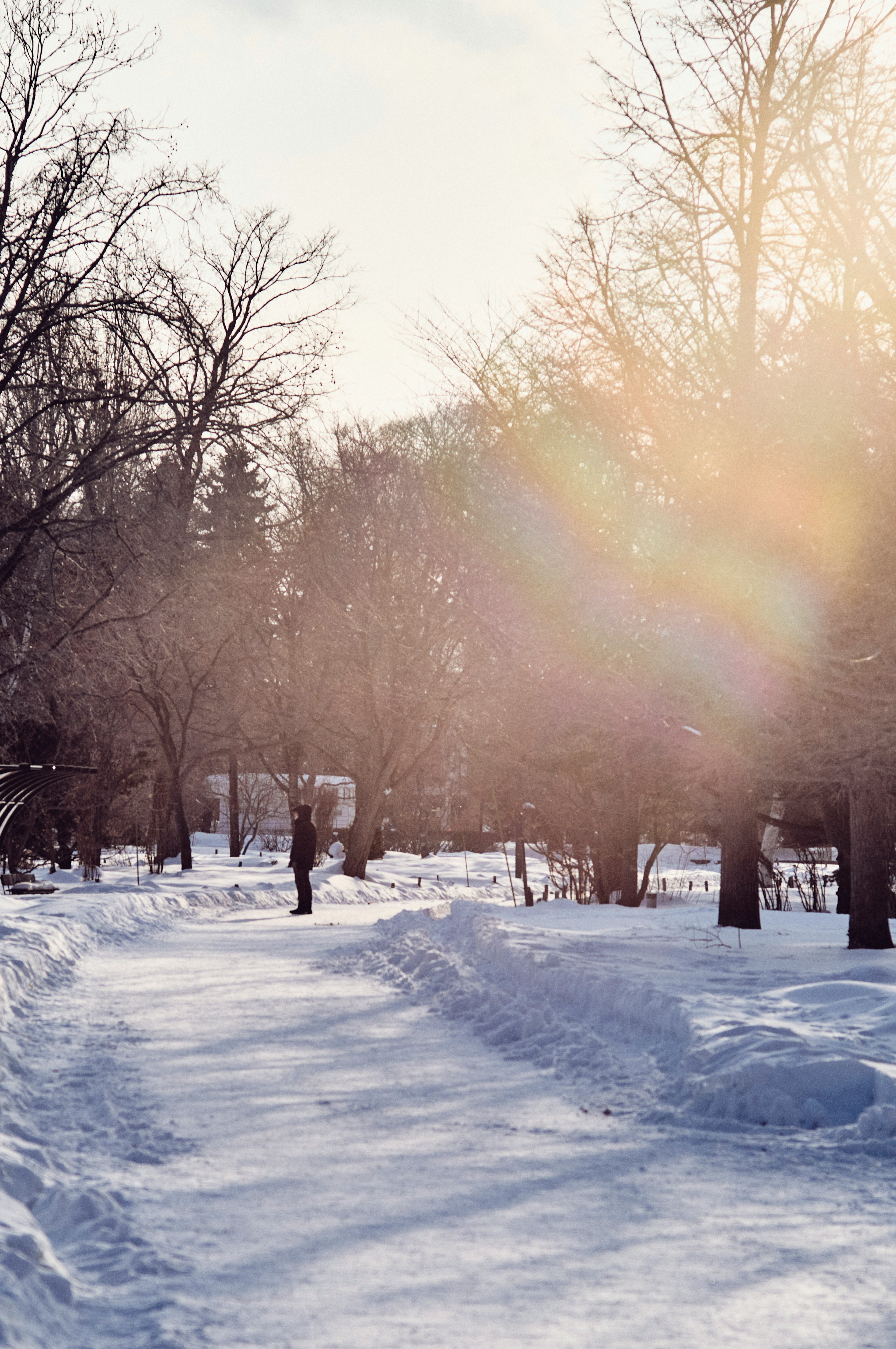 冬季風景，雪覆蓋的小路和樹木