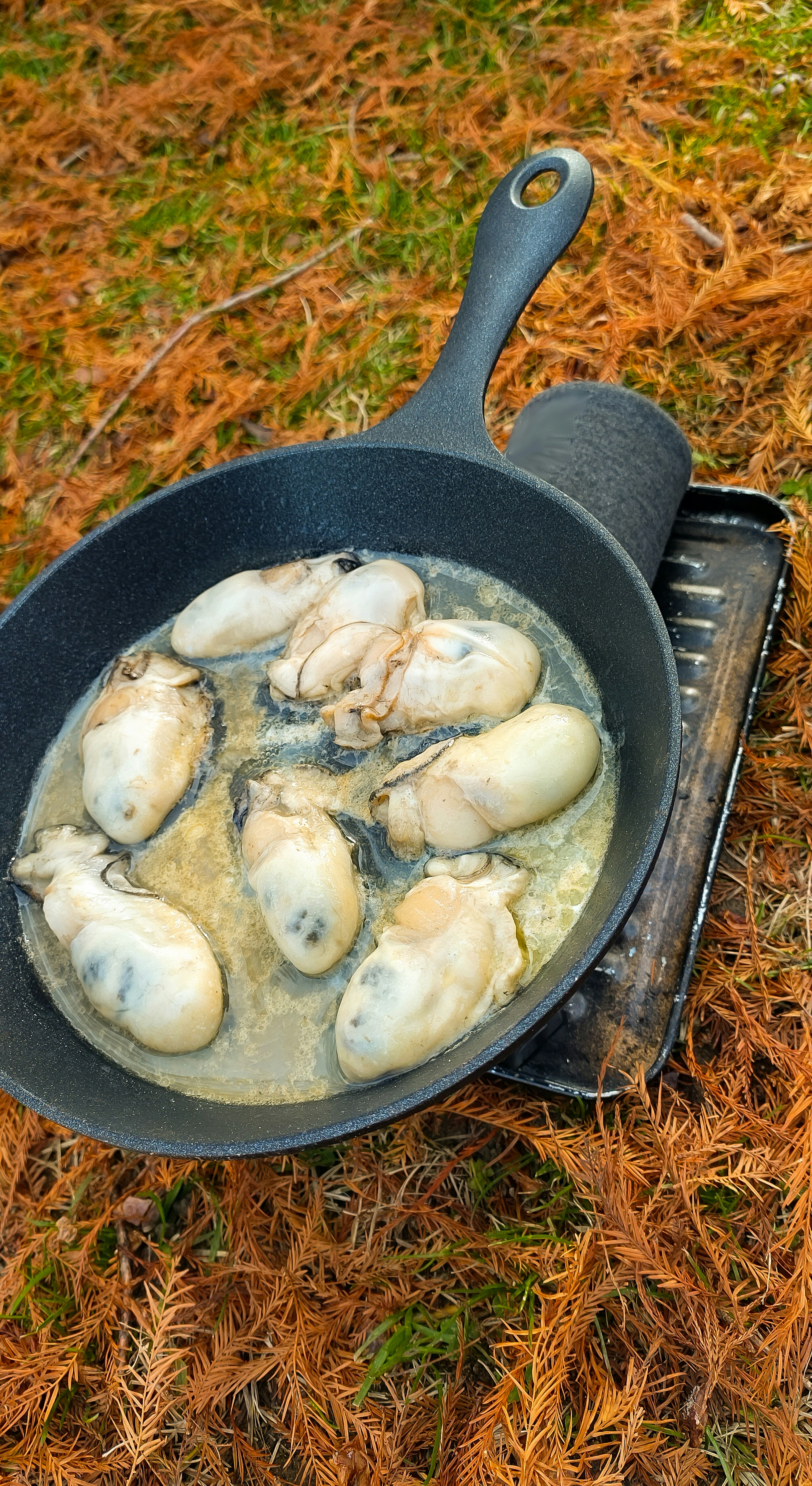 Eine Pfanne mit Muscheln, die im Freien gekocht wird, umgeben von Herbstblättern