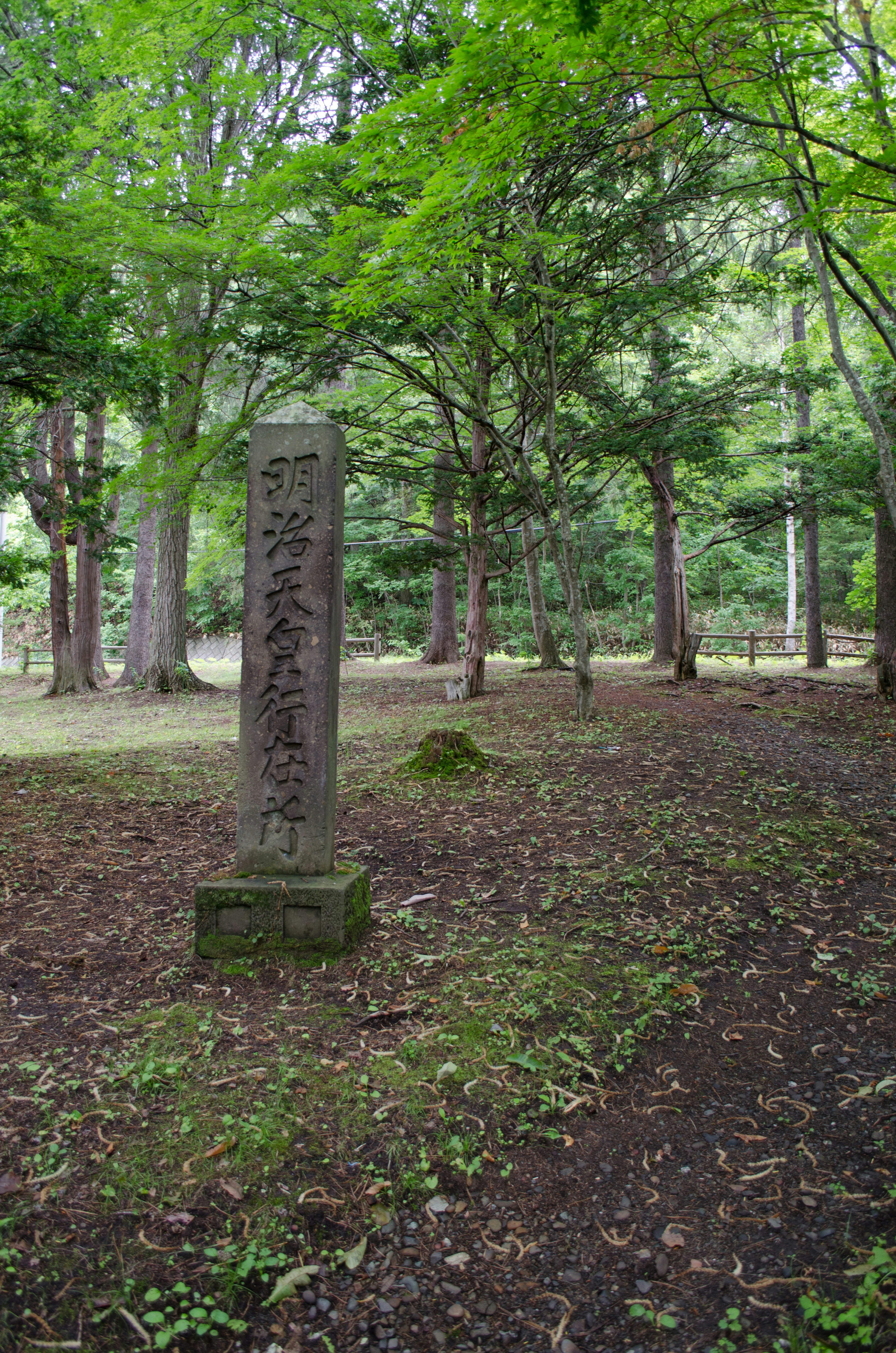 Stone monument surrounded by lush greenery in a forest