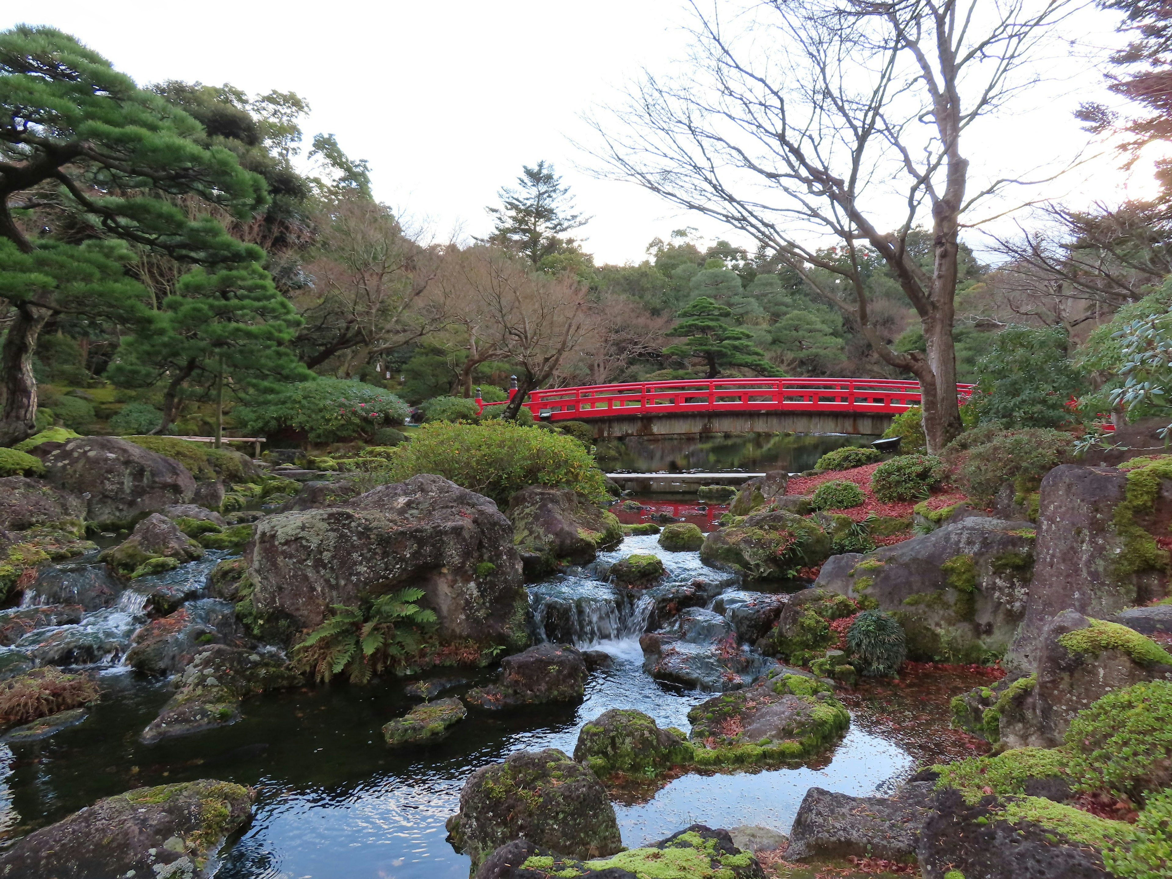 美丽的日本庭园场景 红色桥梁横跨溪流 周围是岩石 绿色苔藓覆盖的石头