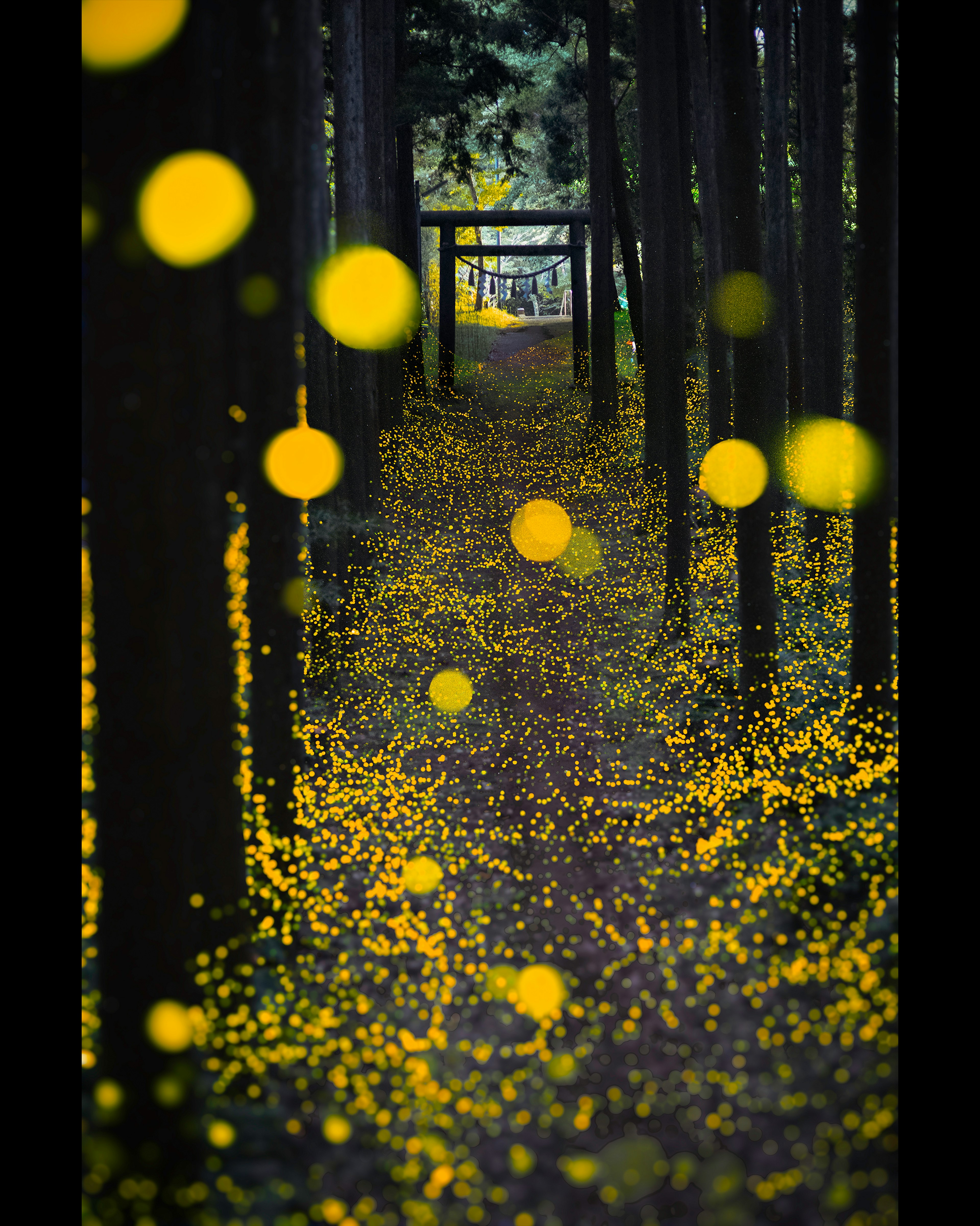 Sentiero forestale adornato di punti luminosi gialli e un torii