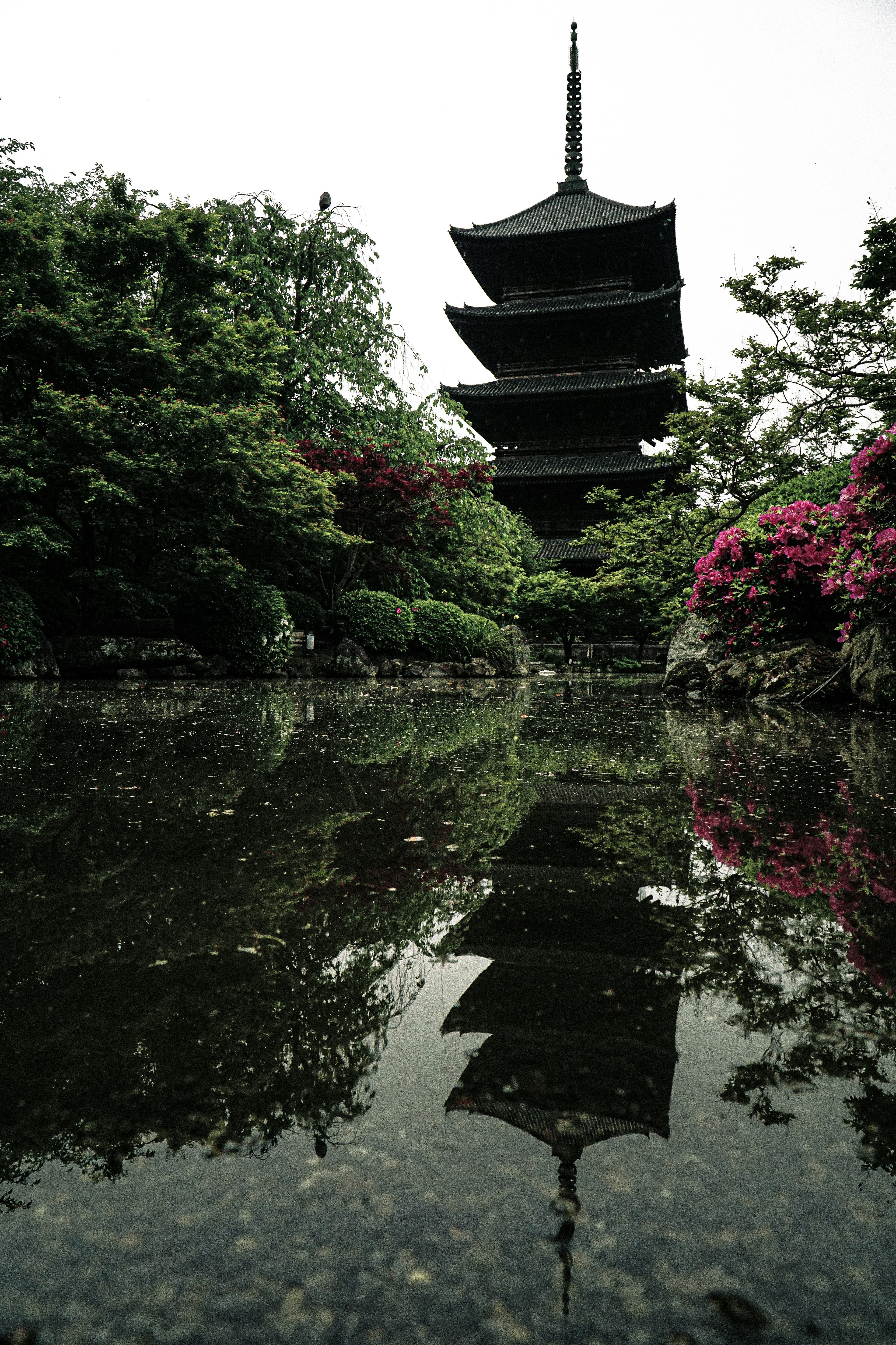 Pagoda Jepang yang indah tercermin di kolam tenang dikelilingi oleh pepohonan hijau subur