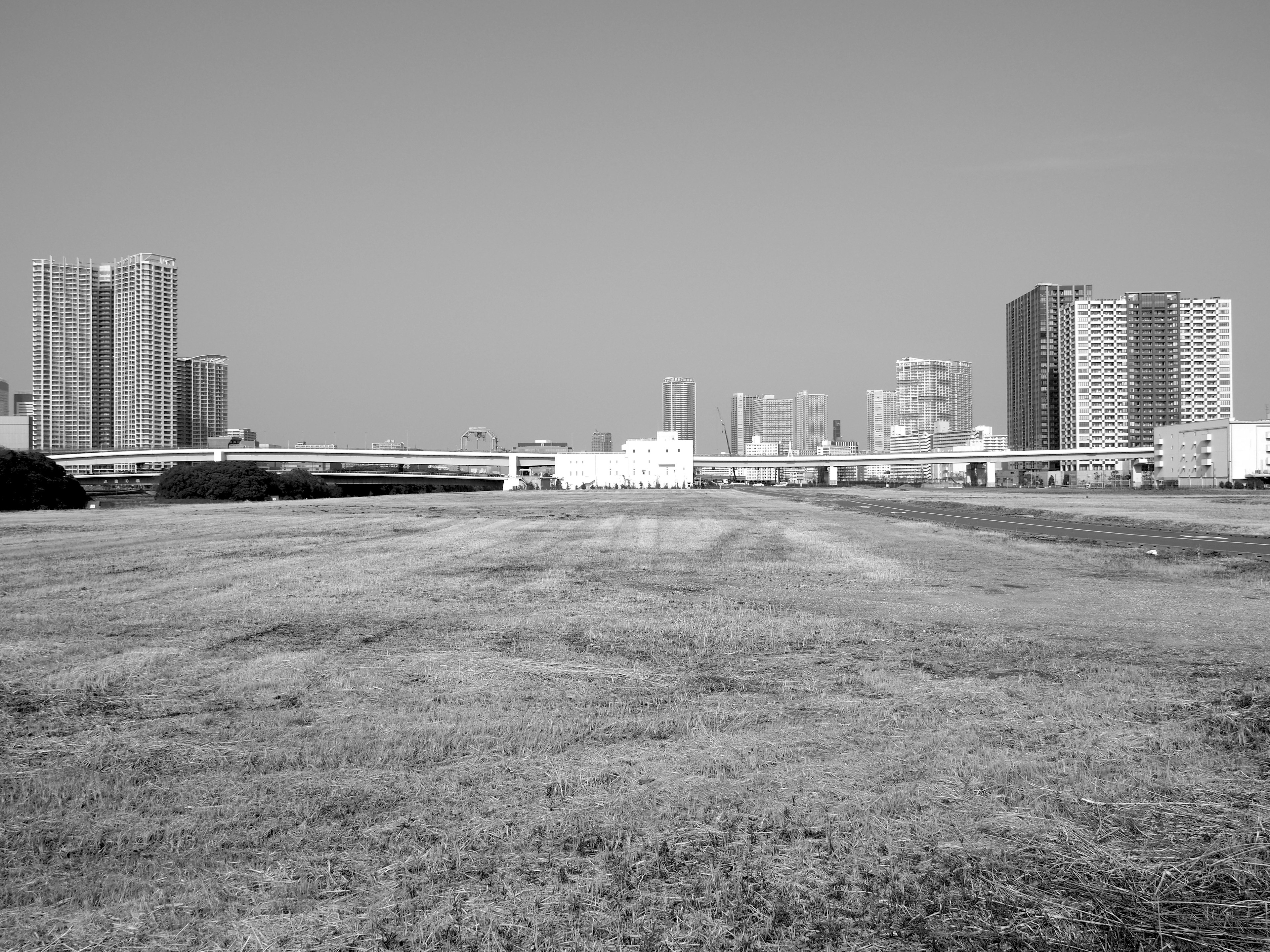 Black and white urban landscape featuring wide grassland and skyscrapers