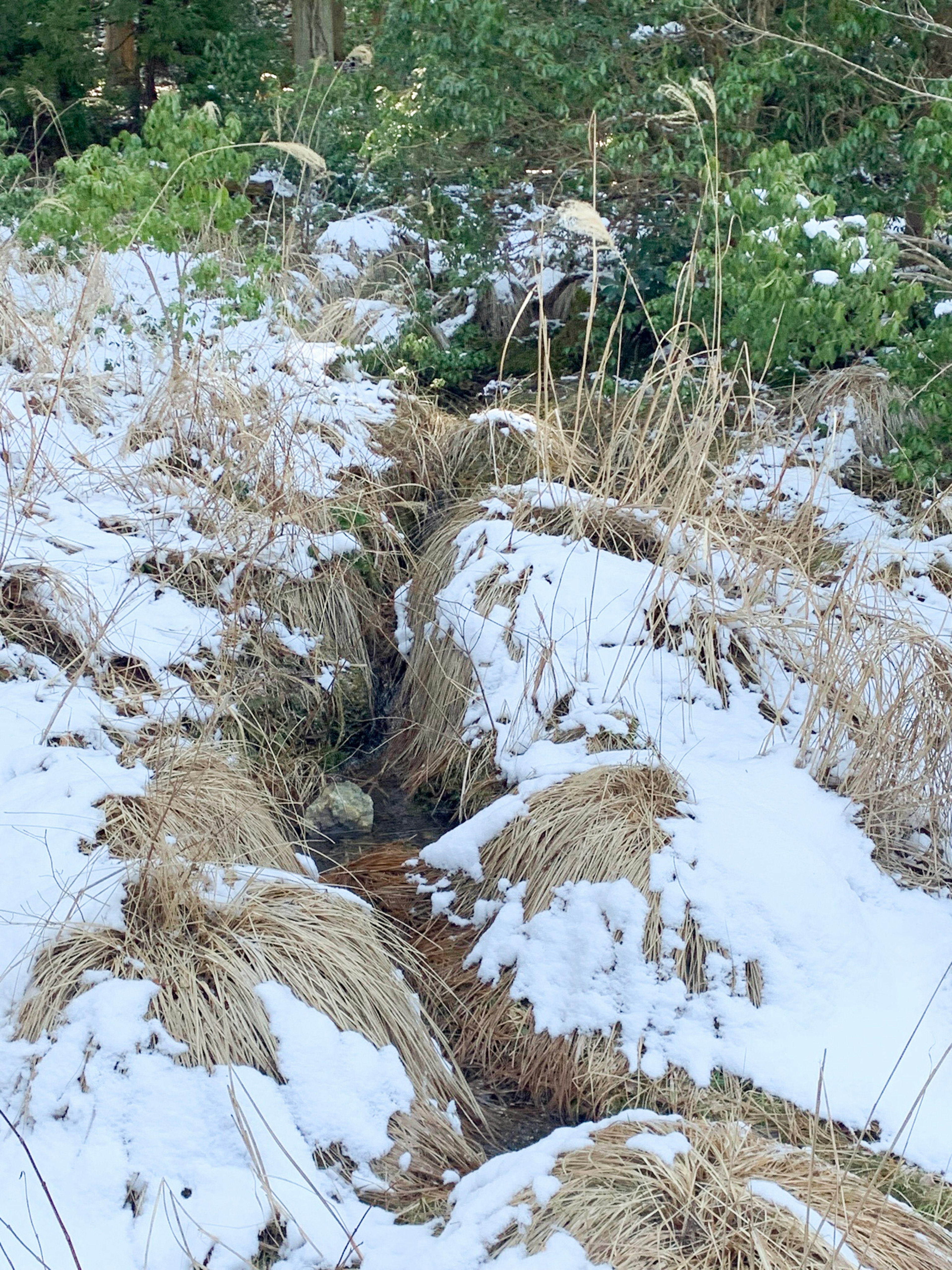 Eine verschneite Landschaft mit einem kleinen Bach und trockenem Gras