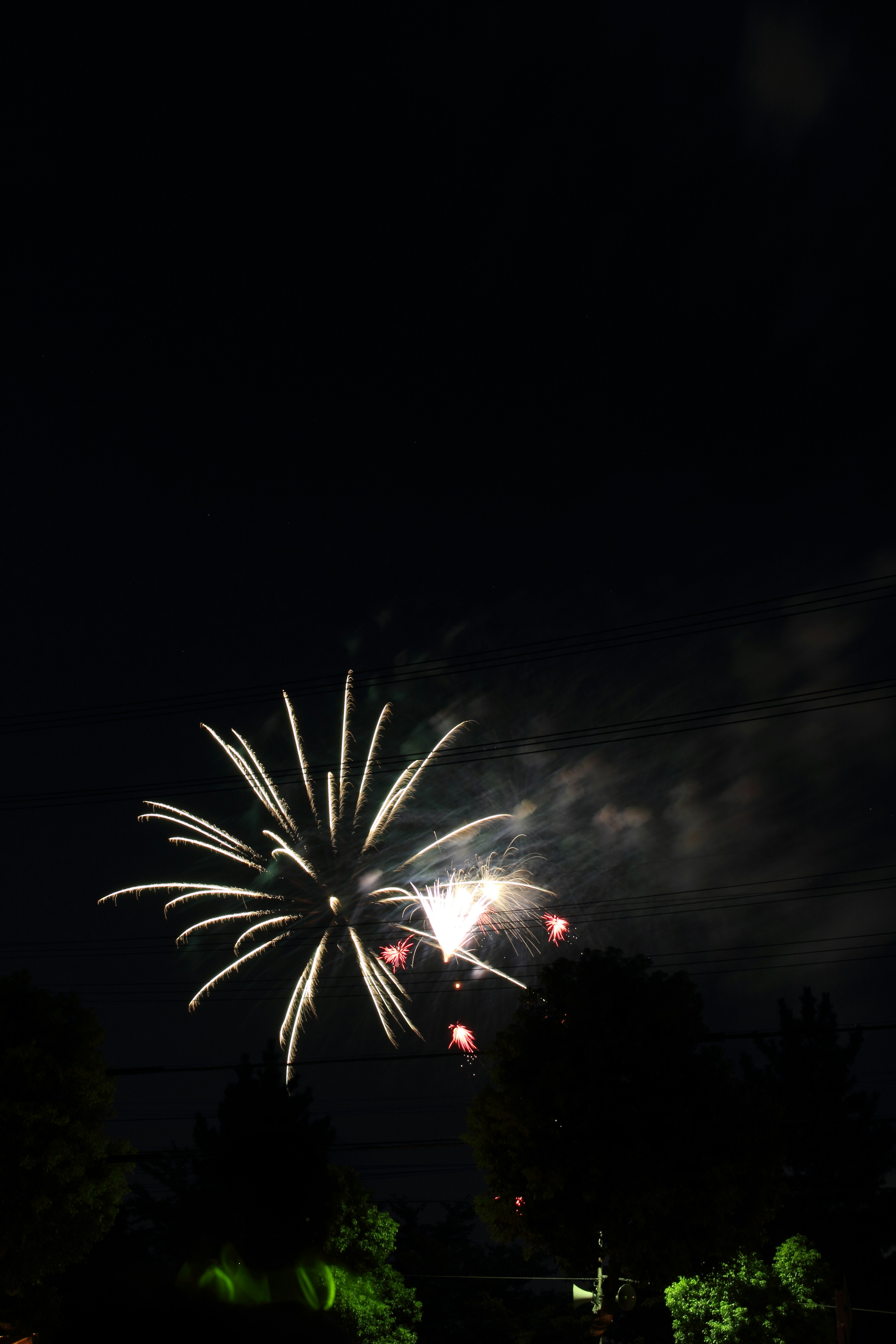 Spectacle de feux d'artifice dans le ciel nocturne avec des lumières et des couleurs vives