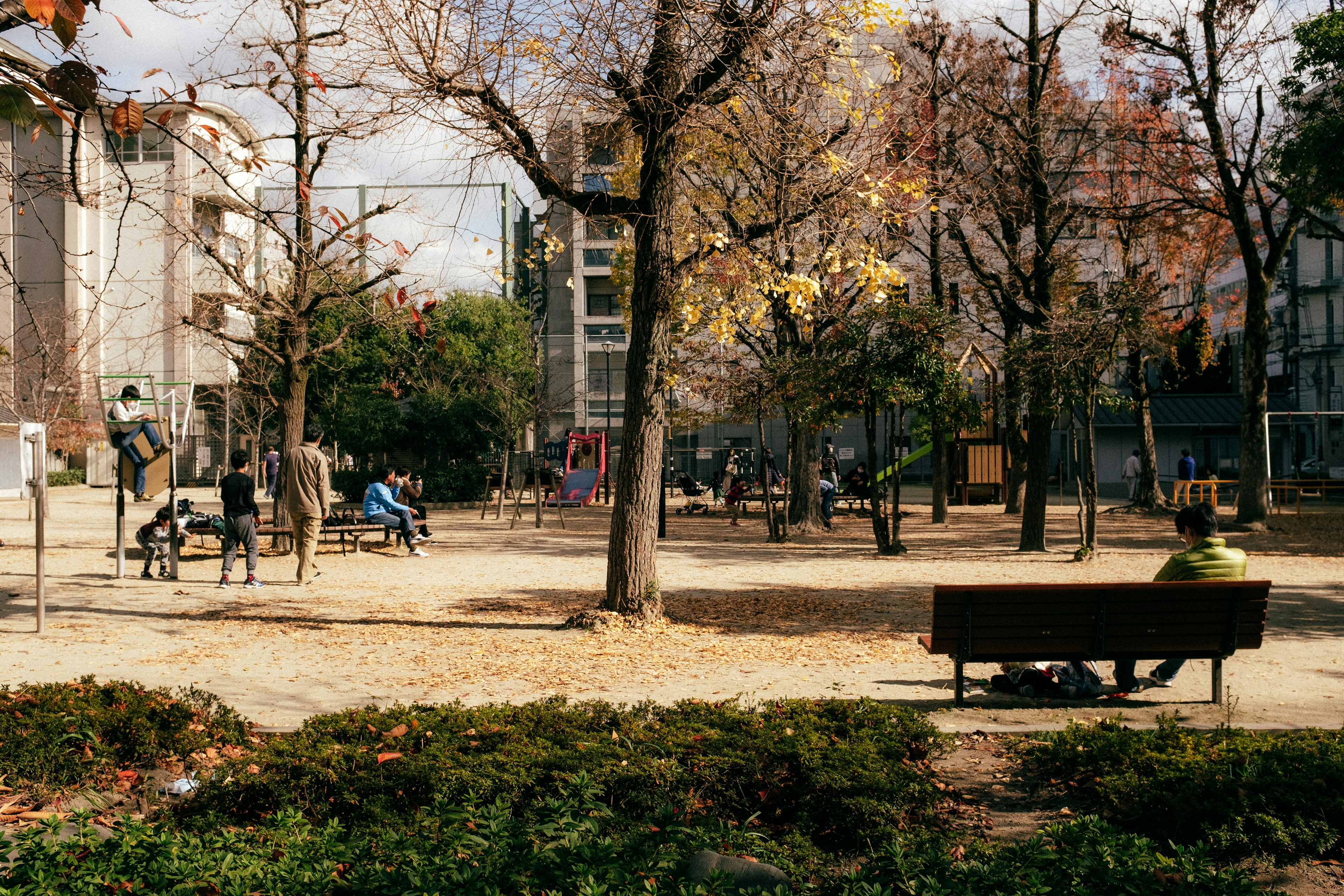 ทิวทัศน์สวนสาธารณะมีต้นไม้ฤดูใบไม้ร่วงและม้านั่งที่มองเห็นได้