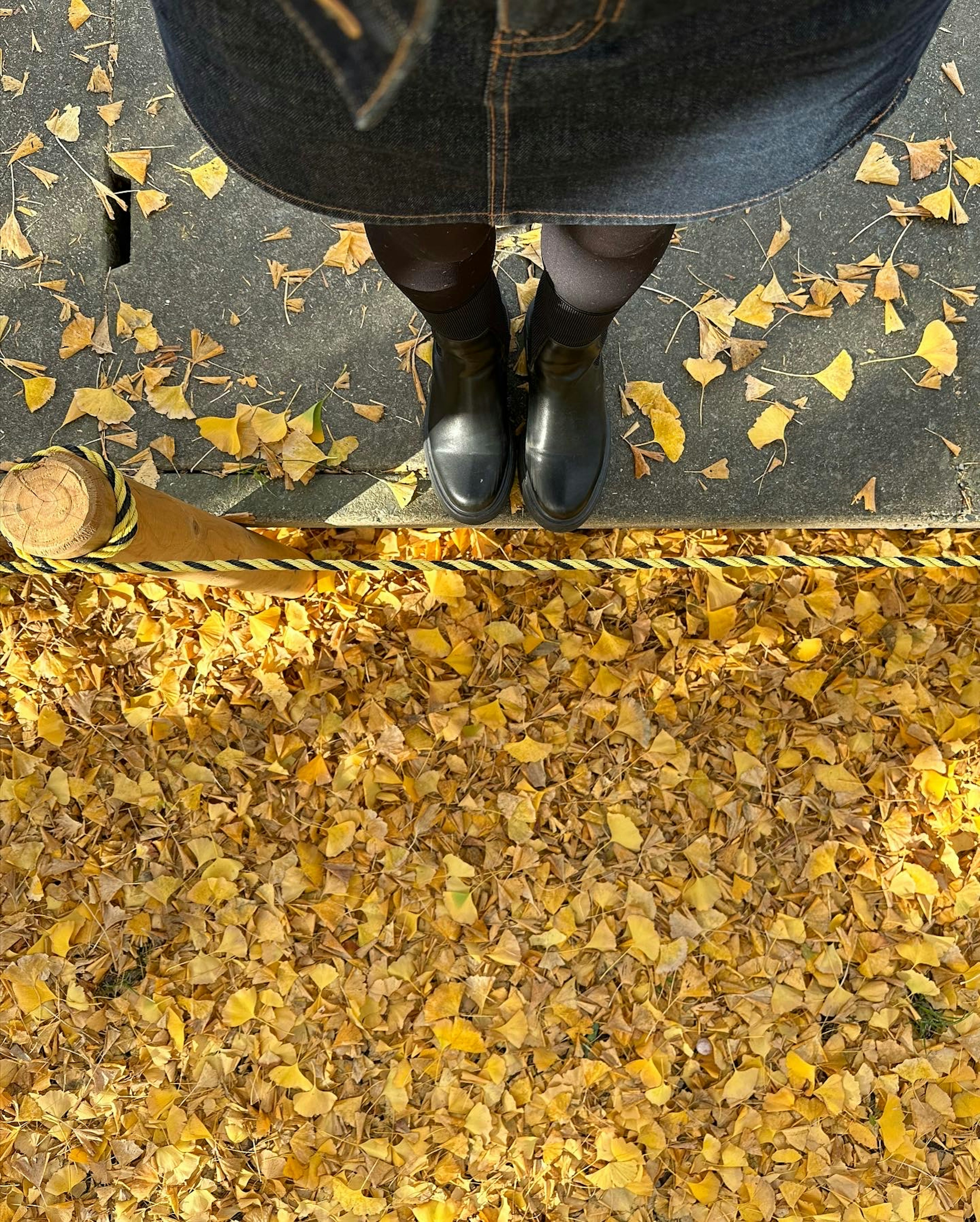 Photo of black boots standing on a carpet of yellow autumn leaves