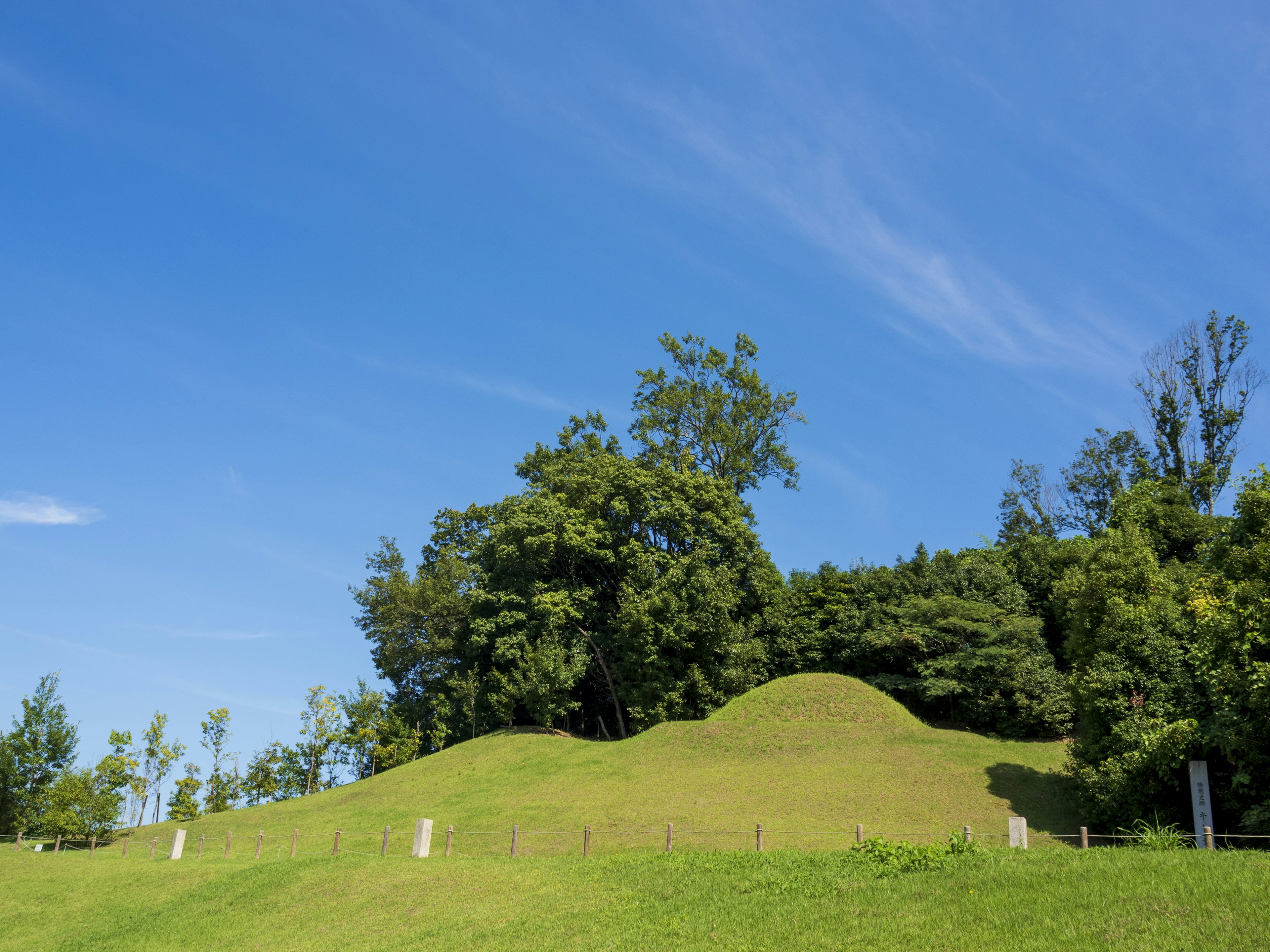 Pemandangan dengan langit biru dan bukit hijau pohon tinggi di latar belakang