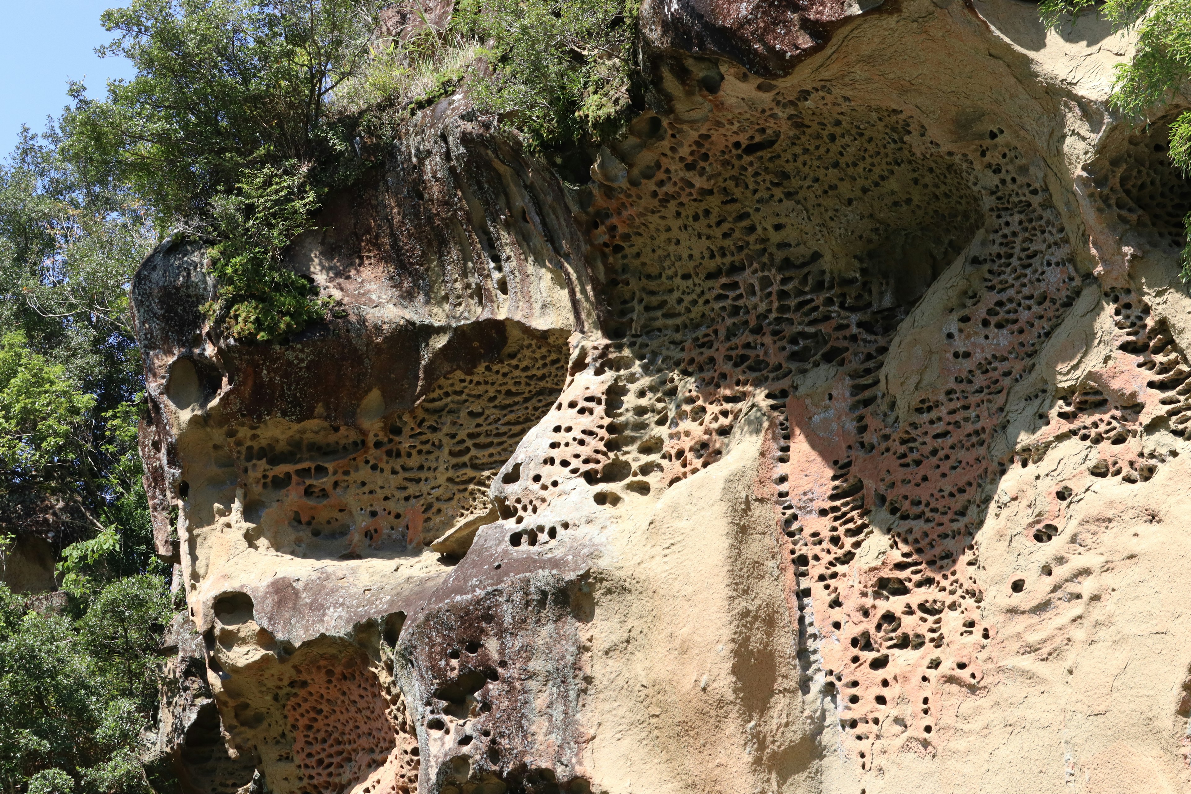 Natural rock formation with a textured surface and holes