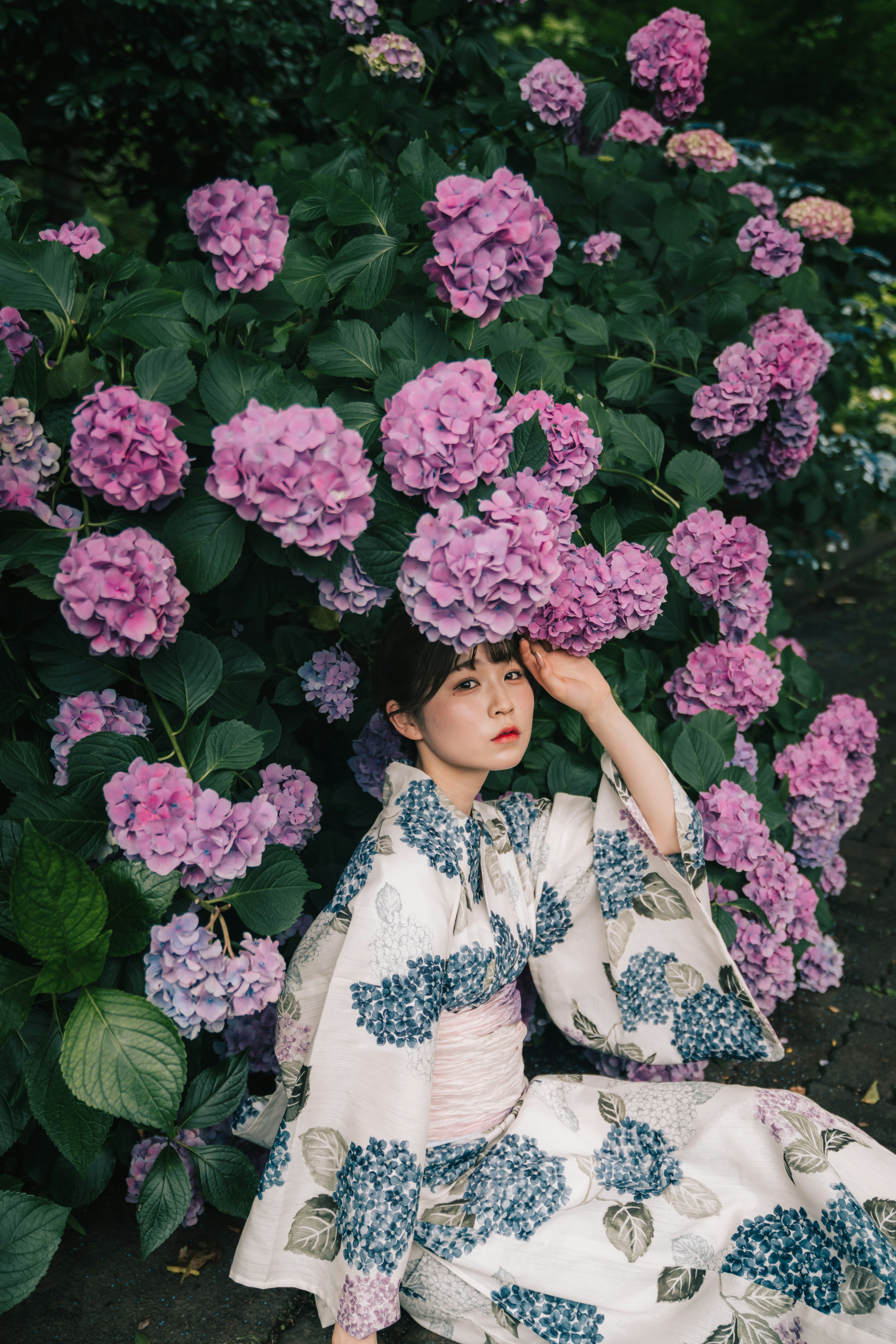 Frau im Kimono umgeben von rosa Hortensienblüten