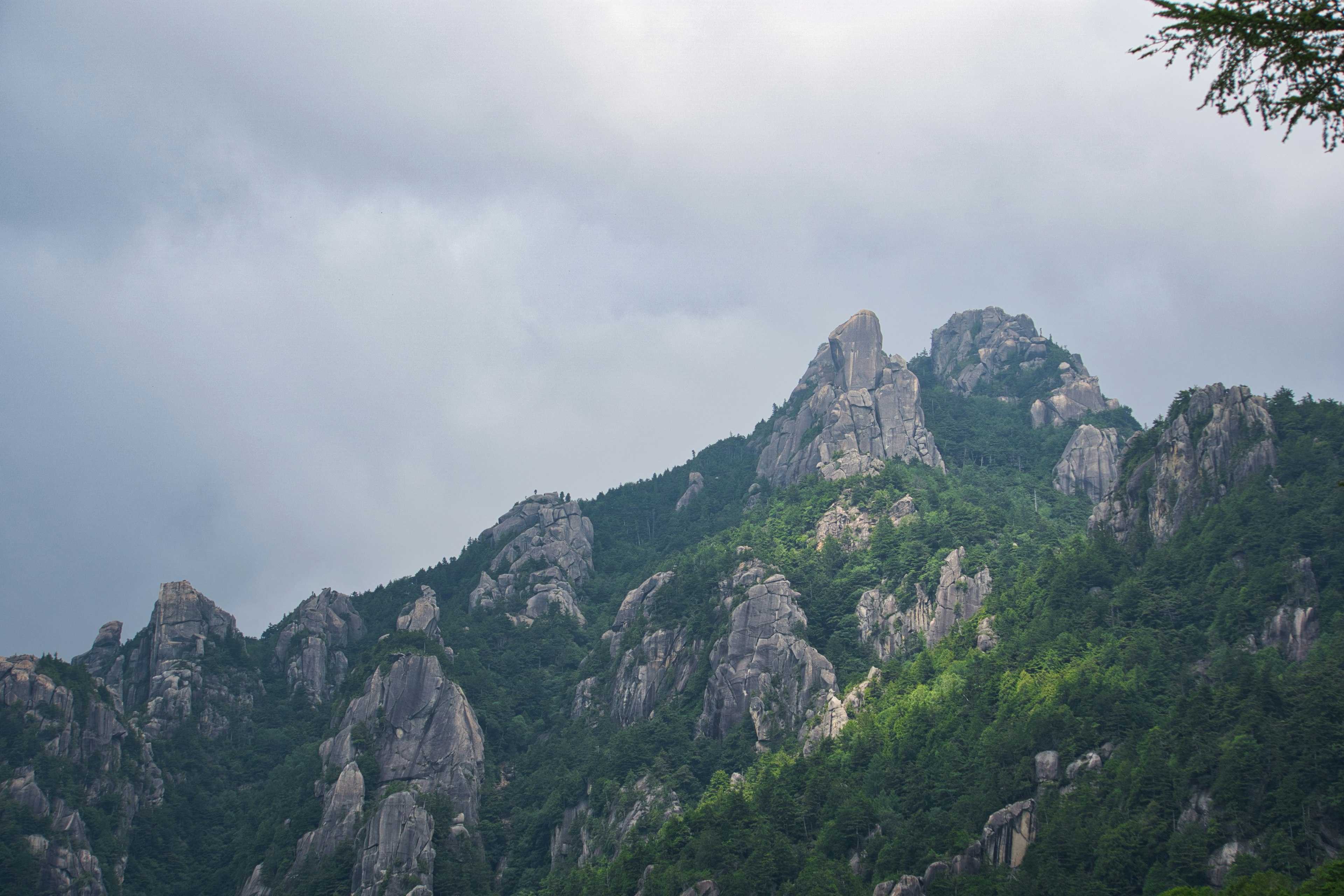 Paysage de montagne avec verdure et nuages sombres