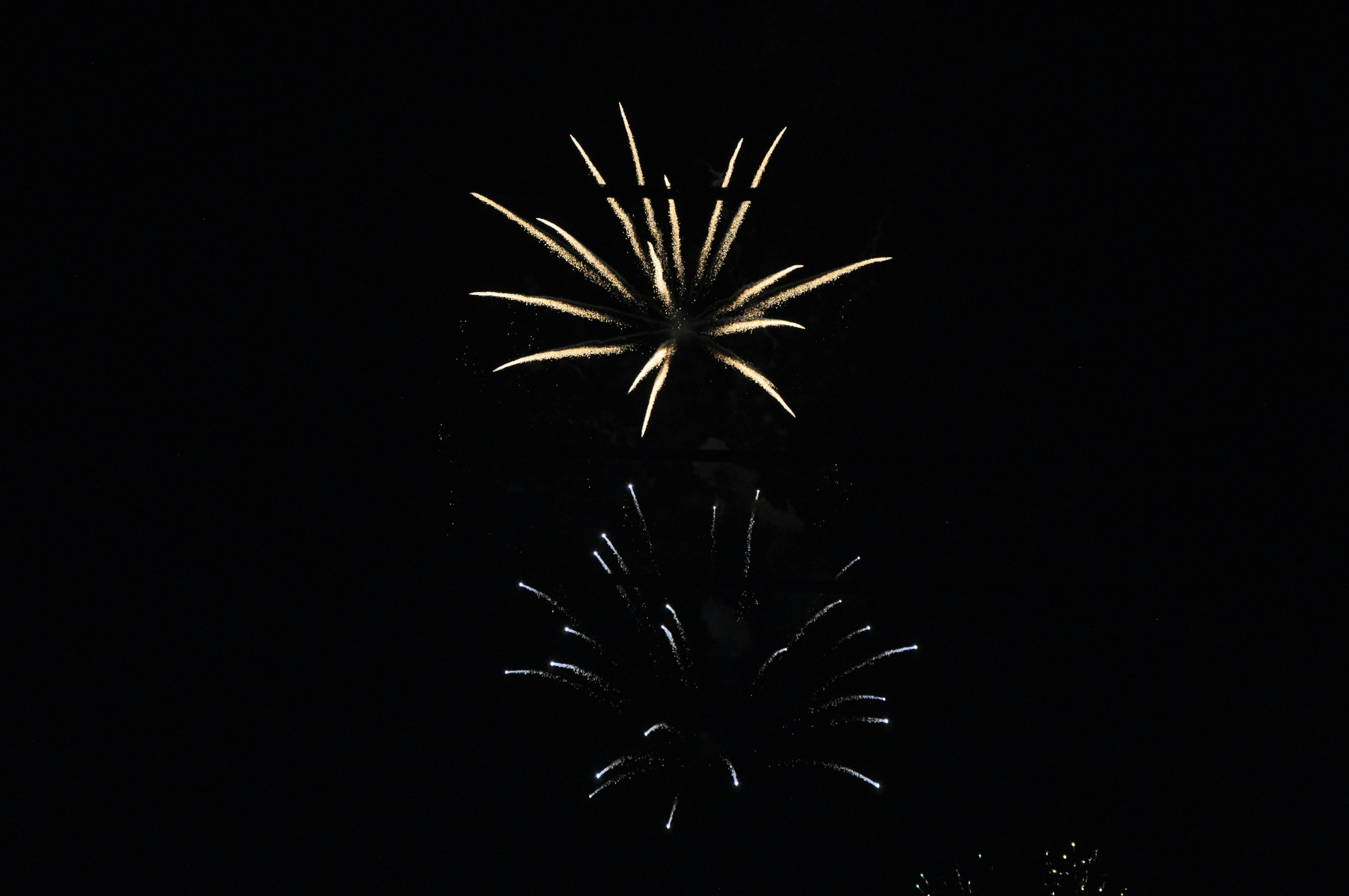 夜空に咲く白い花火の美しい景色