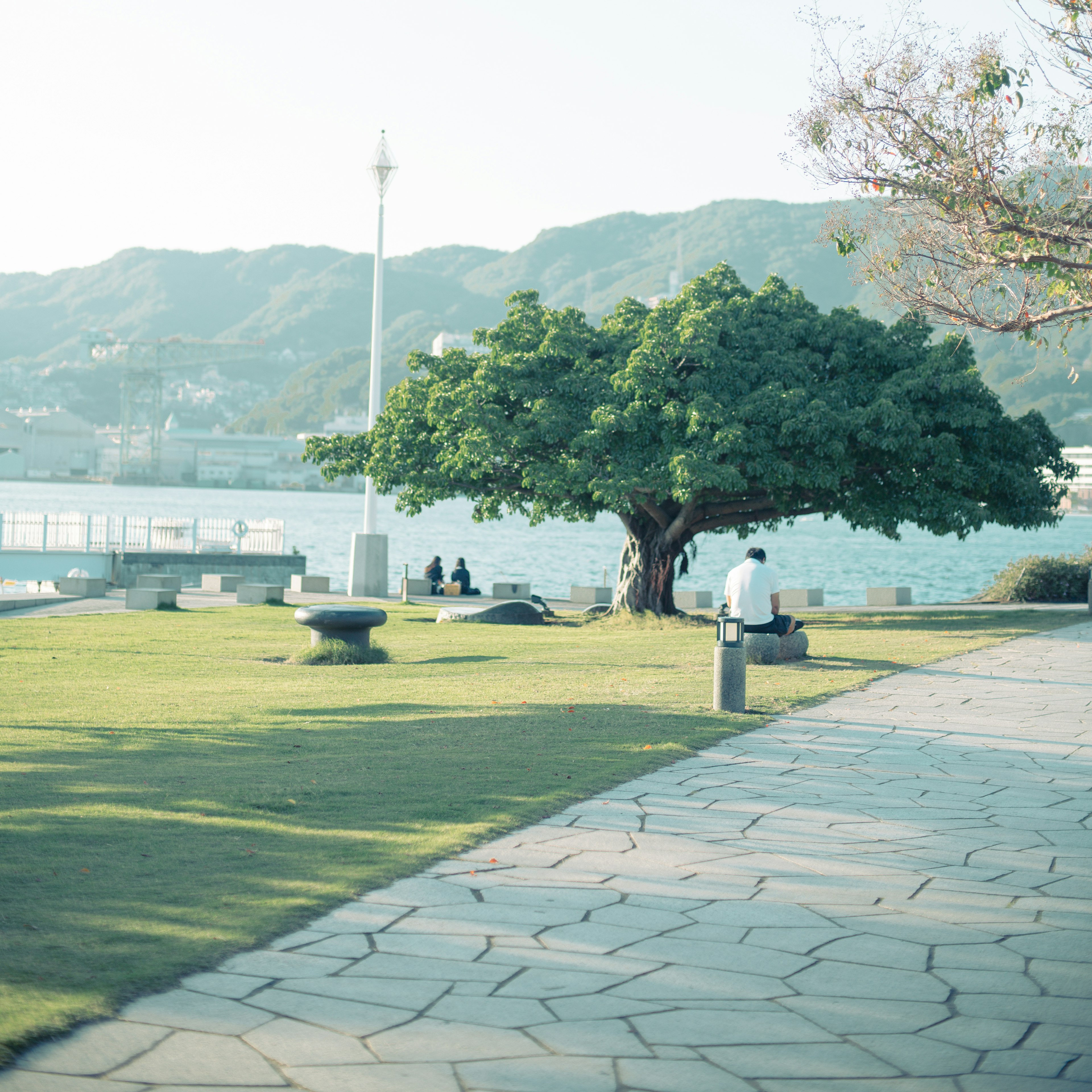 静かな公園の風景で大きな木と石のベンチがある