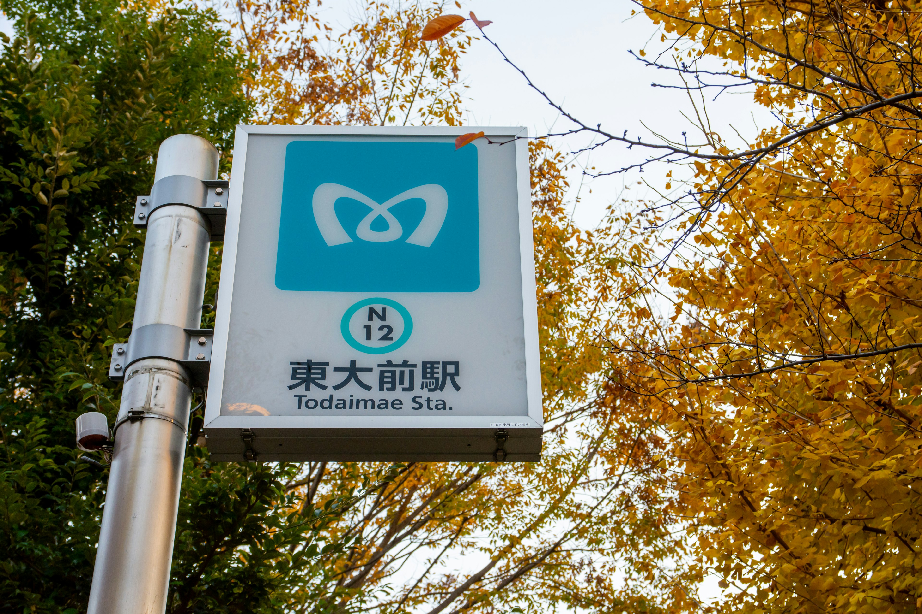 Sign of Todai-mae Station with autumn trees in the background