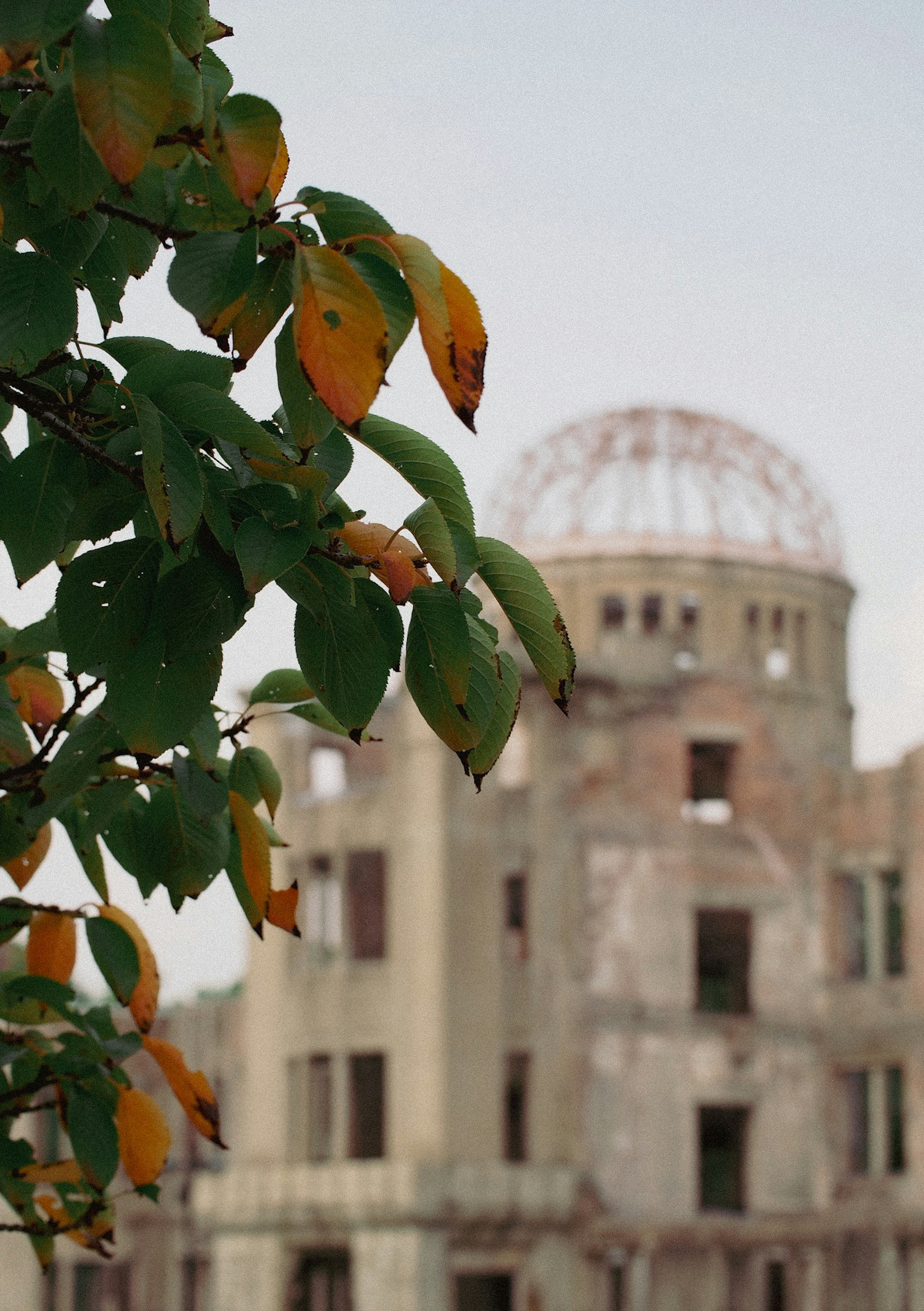 Hojas de árbol frente al Domo de la bomba atómica de Hiroshima