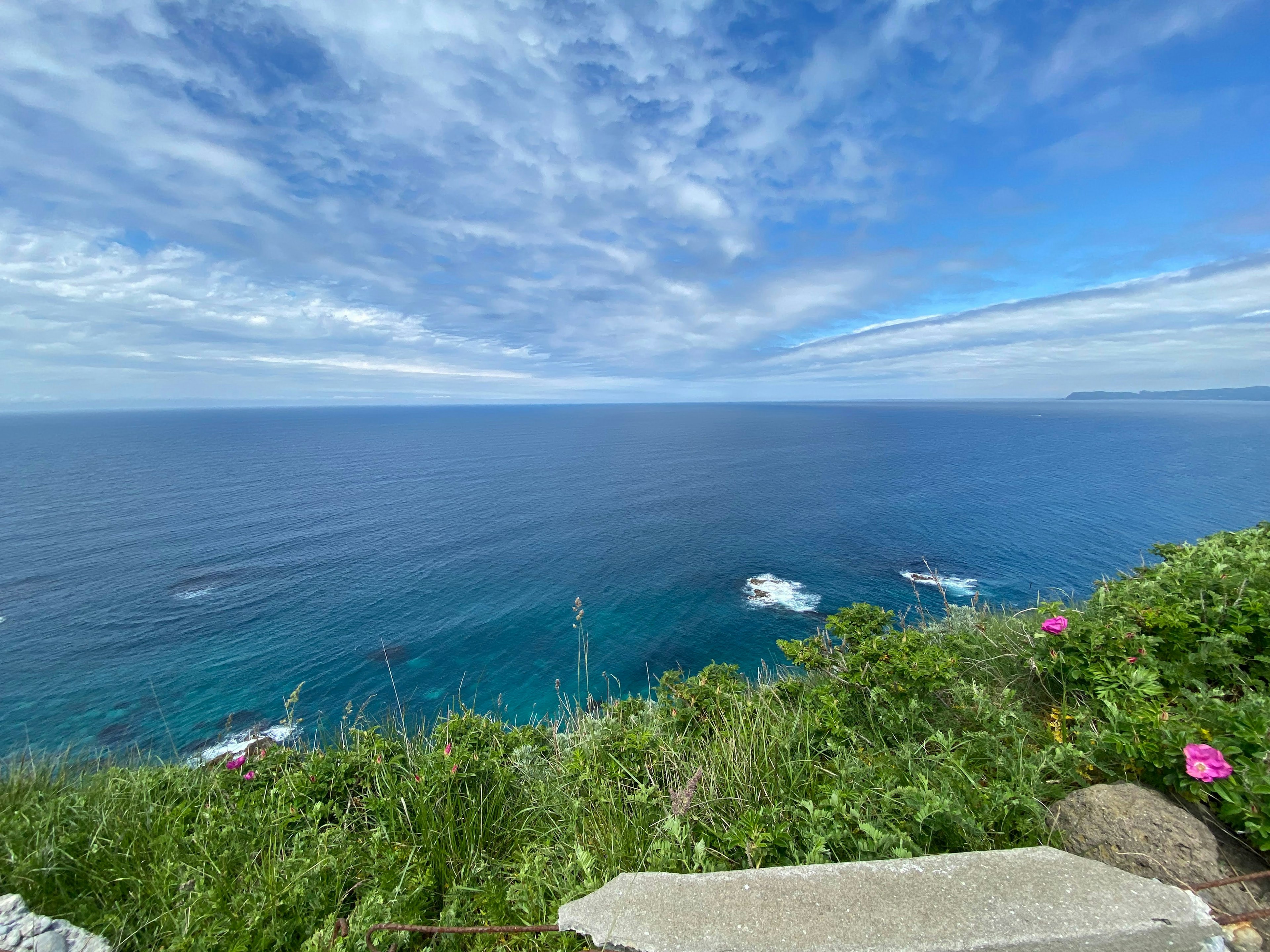 Végétation luxuriante avec des fleurs roses surplombant un vaste océan bleu et un ciel