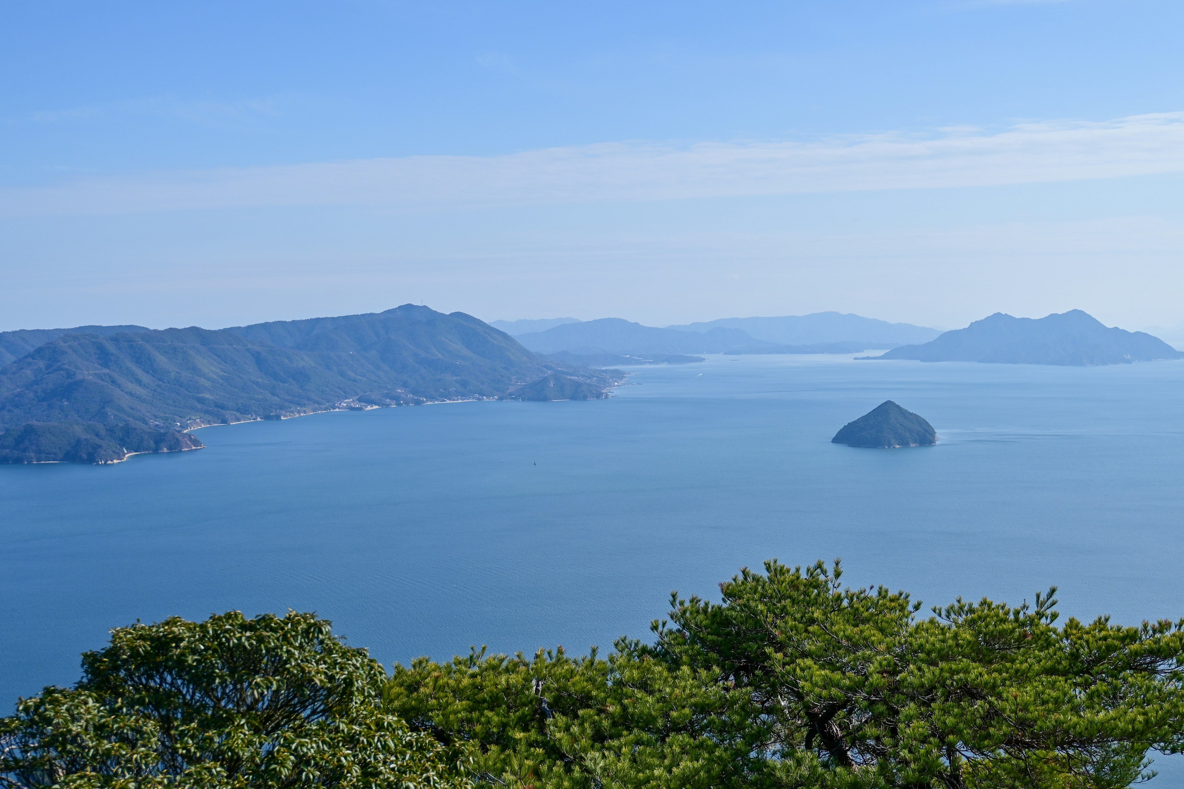 蓝色海洋和绿色树木的美丽景色