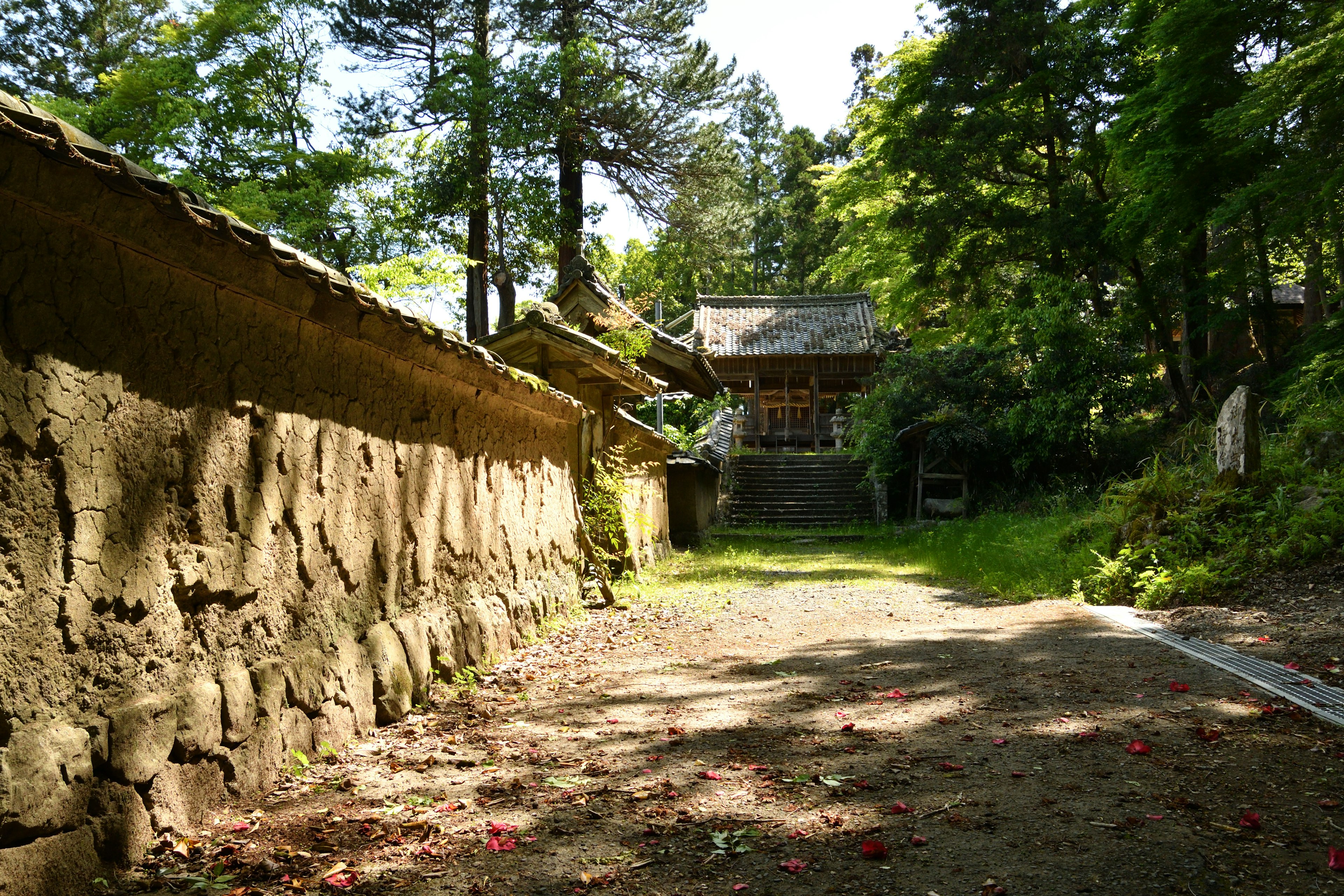 緑豊かな森の中にある古い寺院と土壁の道