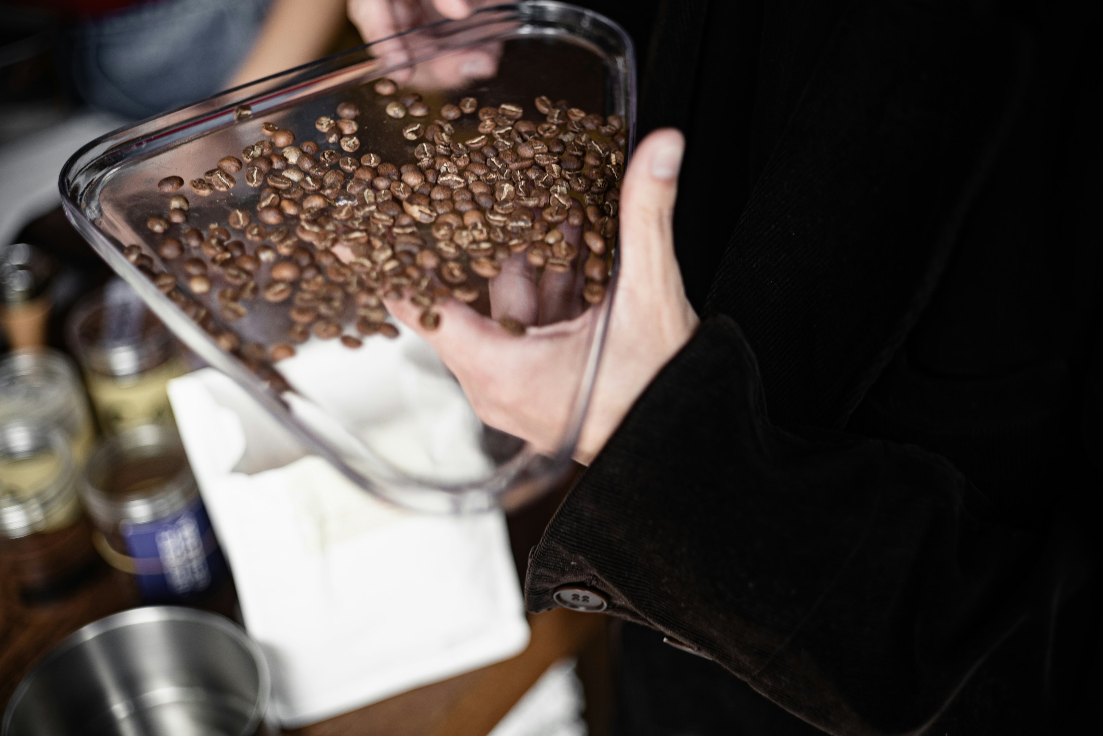 Close-up of hands holding coffee beans with a blurred background