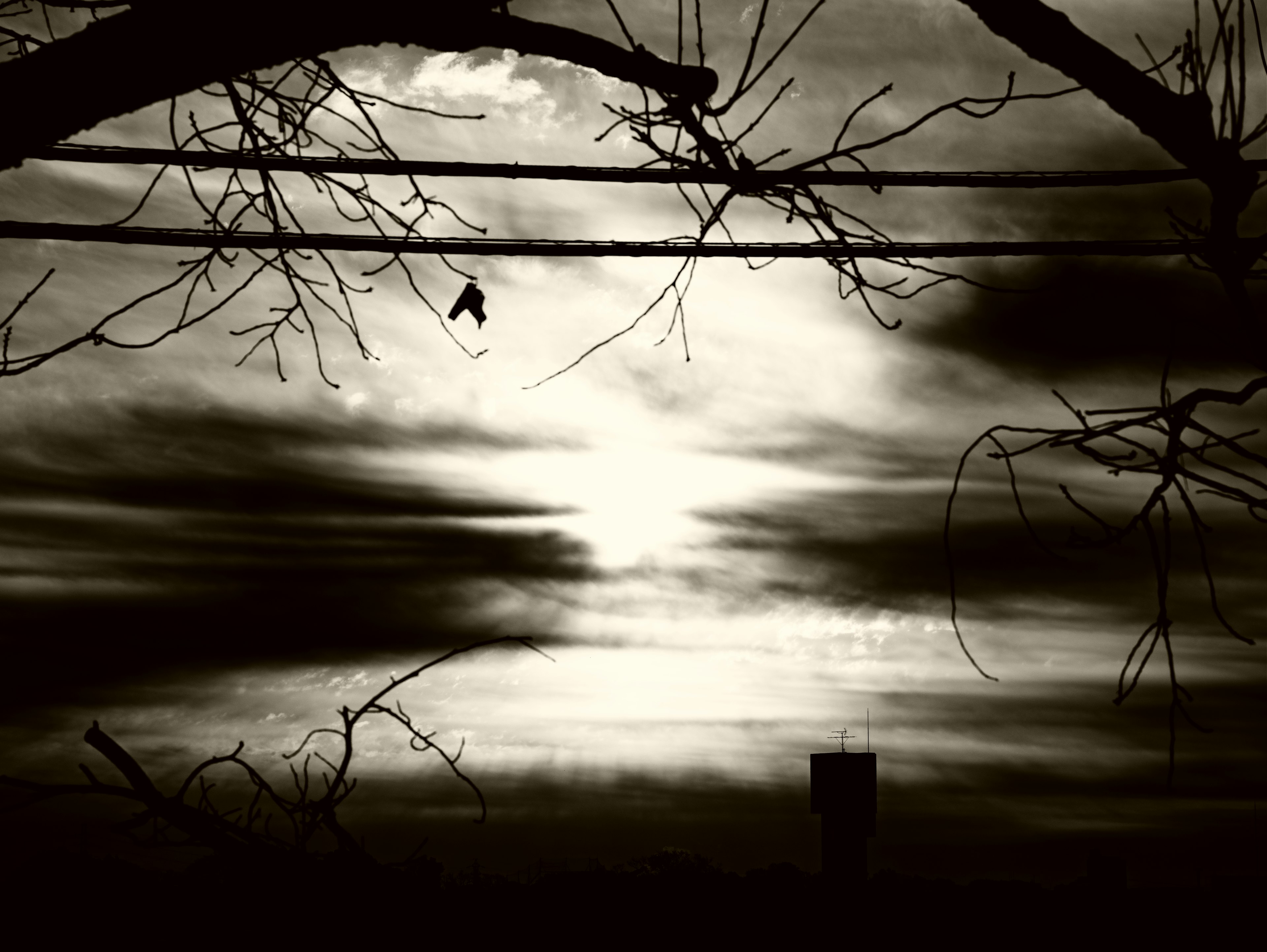 Schwarz-weiß Himmel mit Wolken und Baumästen